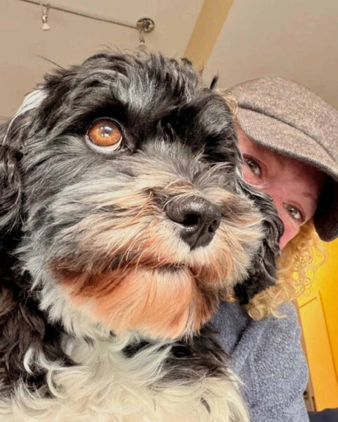 Yup! They&rsquo;re like family, too! 🥰

Care where the love never stops 💛 with Steph&rsquo;s City Strolls! 

-
-
-

#stephscitystrolls #likefamily #puppylove #puppykisses #smallbusiness