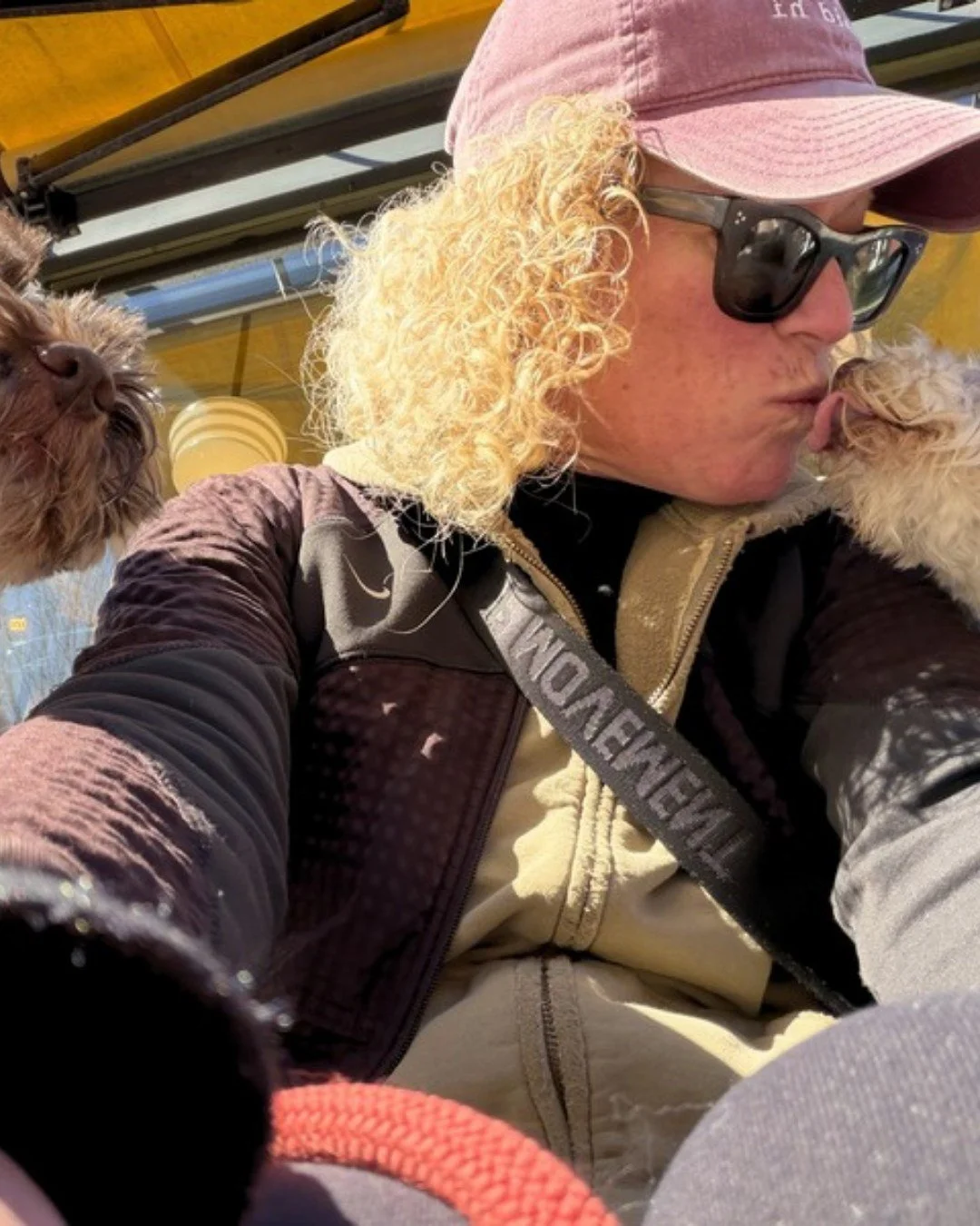 Big kisses for the brother, always! They&rsquo;re just two silly snuggle bugs 🥰🤍 Hope you had a great weekend!

-
-
-

#stephscitystrolls #overnightpetcare #overnightpetsitting #bostonpetcare #schnauzers