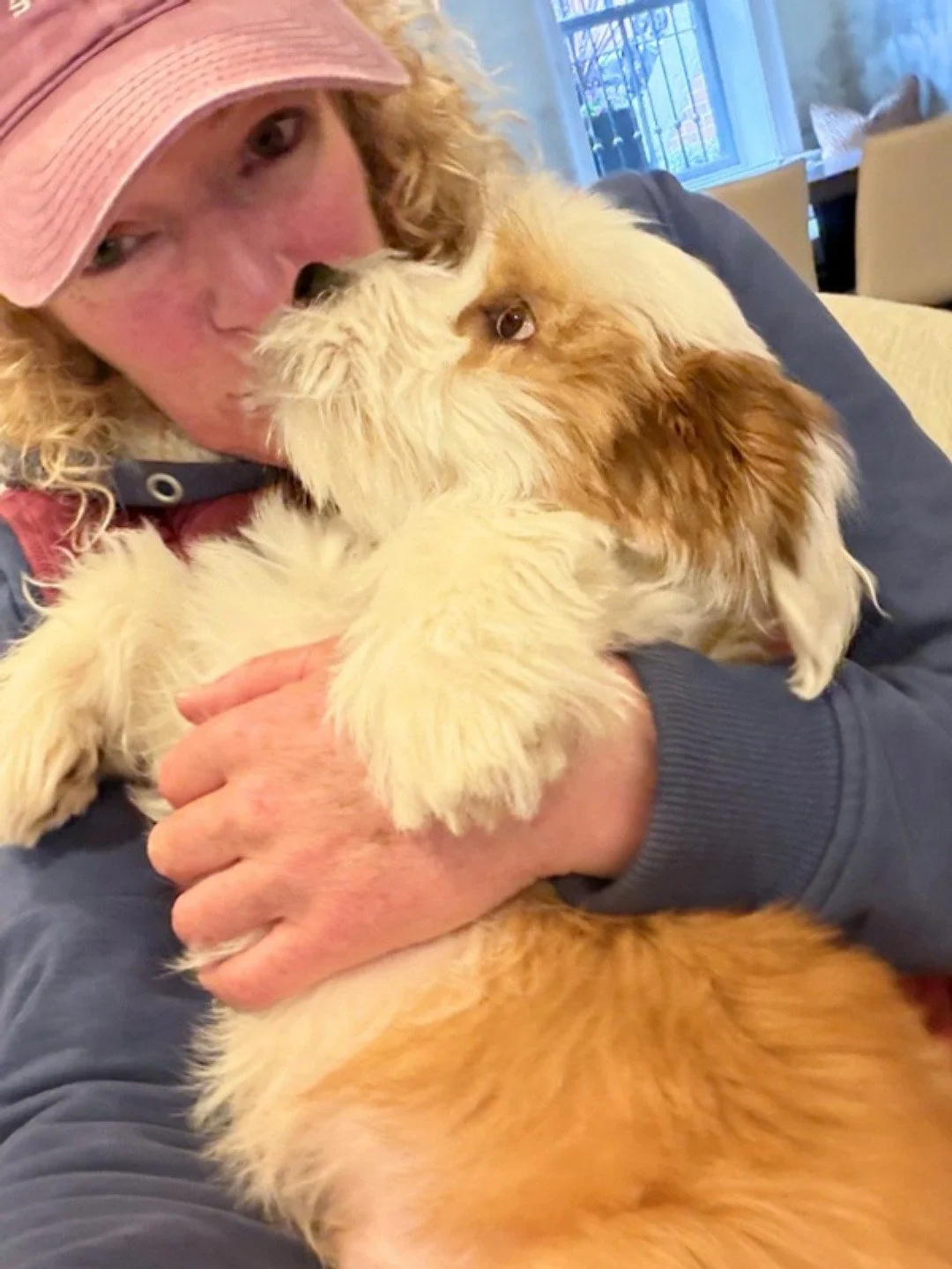 We&rsquo;ve got a lot of puppy love over here! 🥺🤍 

-
-
-

#stephscitystrolls #puppylove #springtimepuppies #cuddlebugs #bostondogwalker