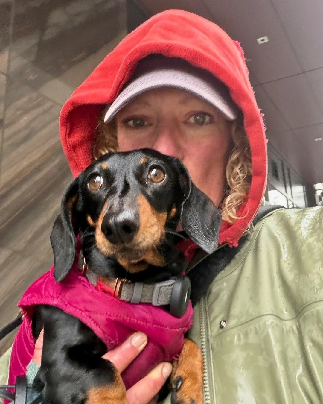 Cuddles, kisses, and always getting our steps in 😚 Wishing you all a great week ahead! 

-
-
-

#stephscitystrolls #gettingourstepsin🚶&zwj;♀️🐈 #bostondogwalker #southendboston #cuddlesandkisses