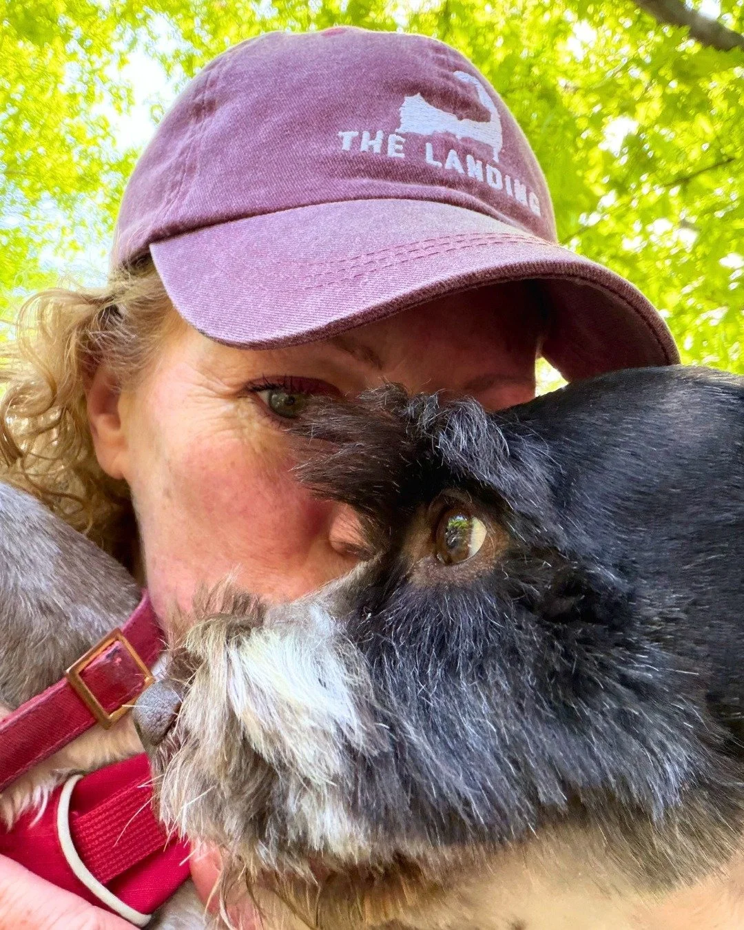 Let&rsquo;s talk about dog walking! 🐾 

Giving your pup the individual attention and care they deserve, Steph provides 25-minute walks that include everything from poop pickup to training reinforcement. 

You&rsquo;ll get a photo update, and they ge