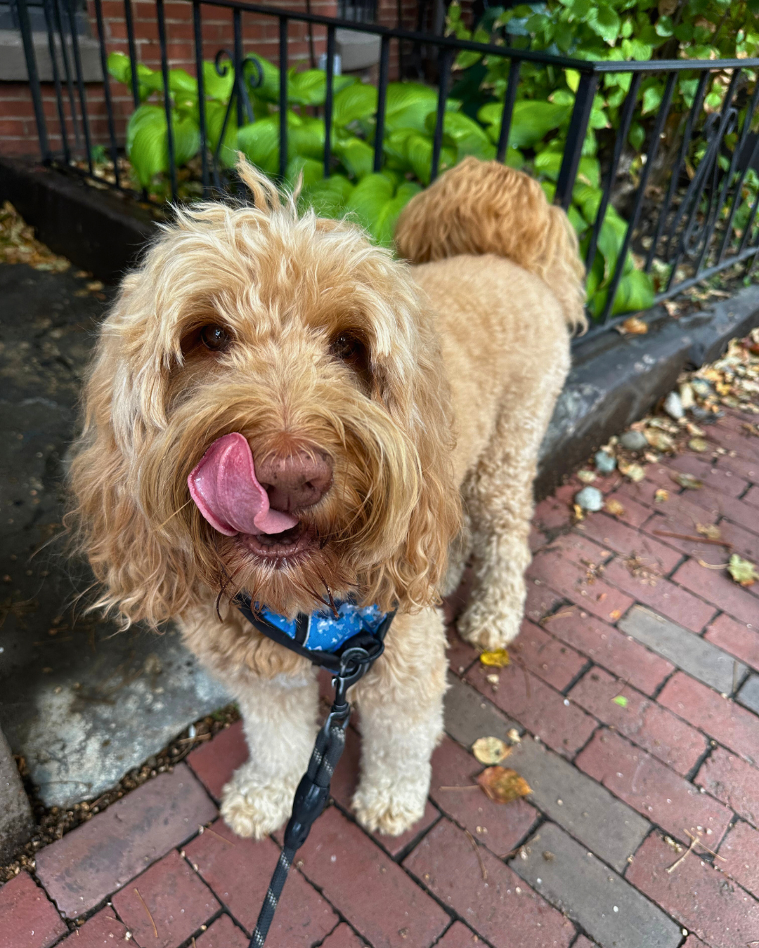 Grid Post #3 (2).png