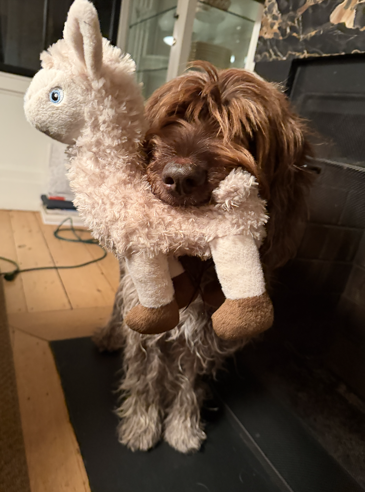 Screen Shot 2025-12-12 at 12.20.58 PM.png