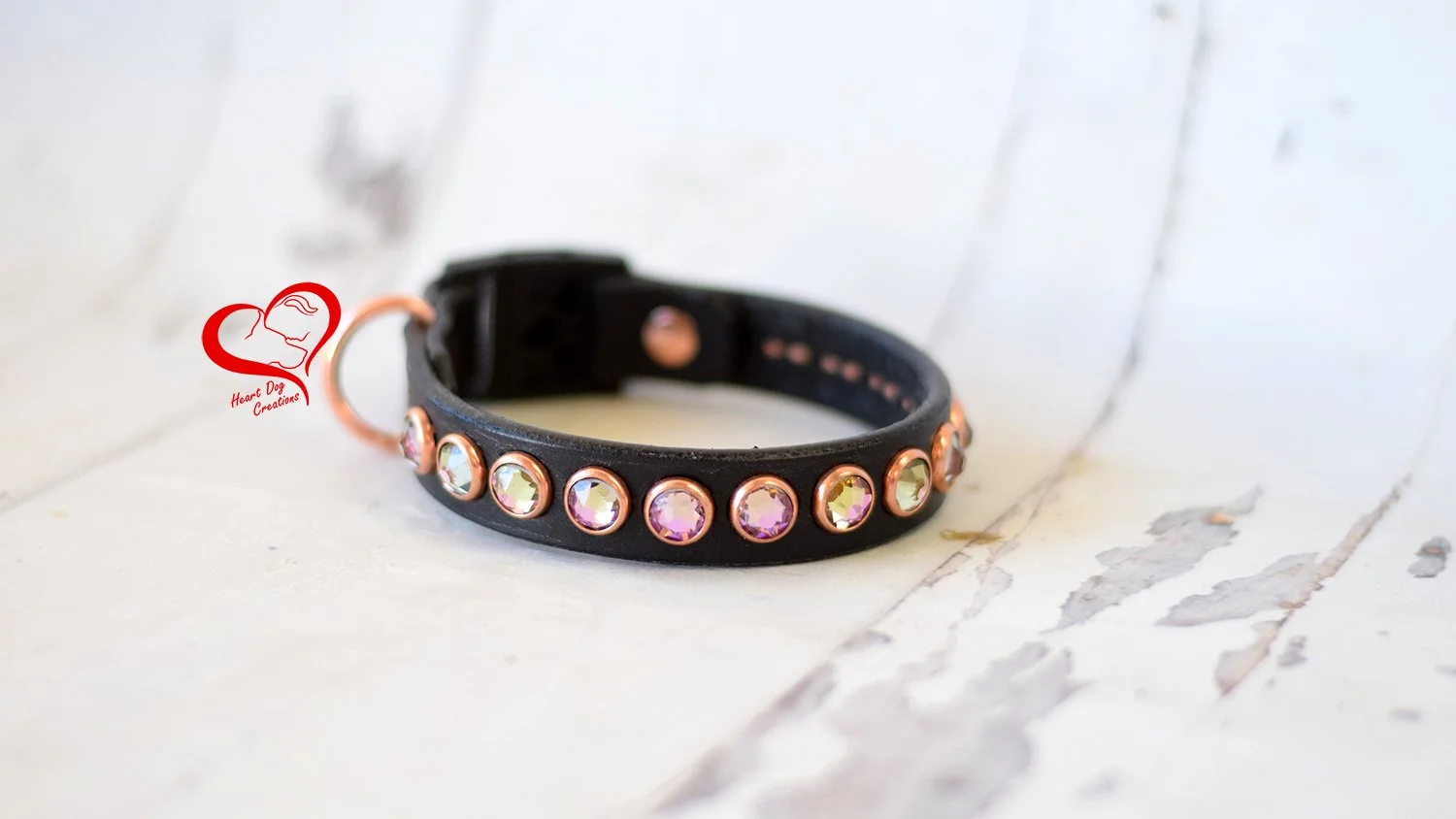 Cat Collar "The Moxi Style"