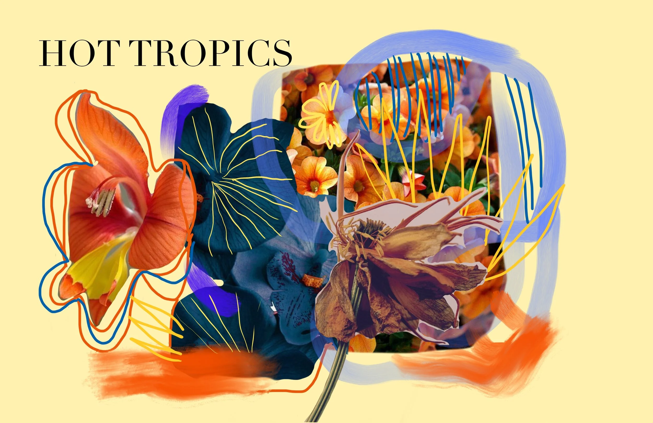 Hotttopic.jpg