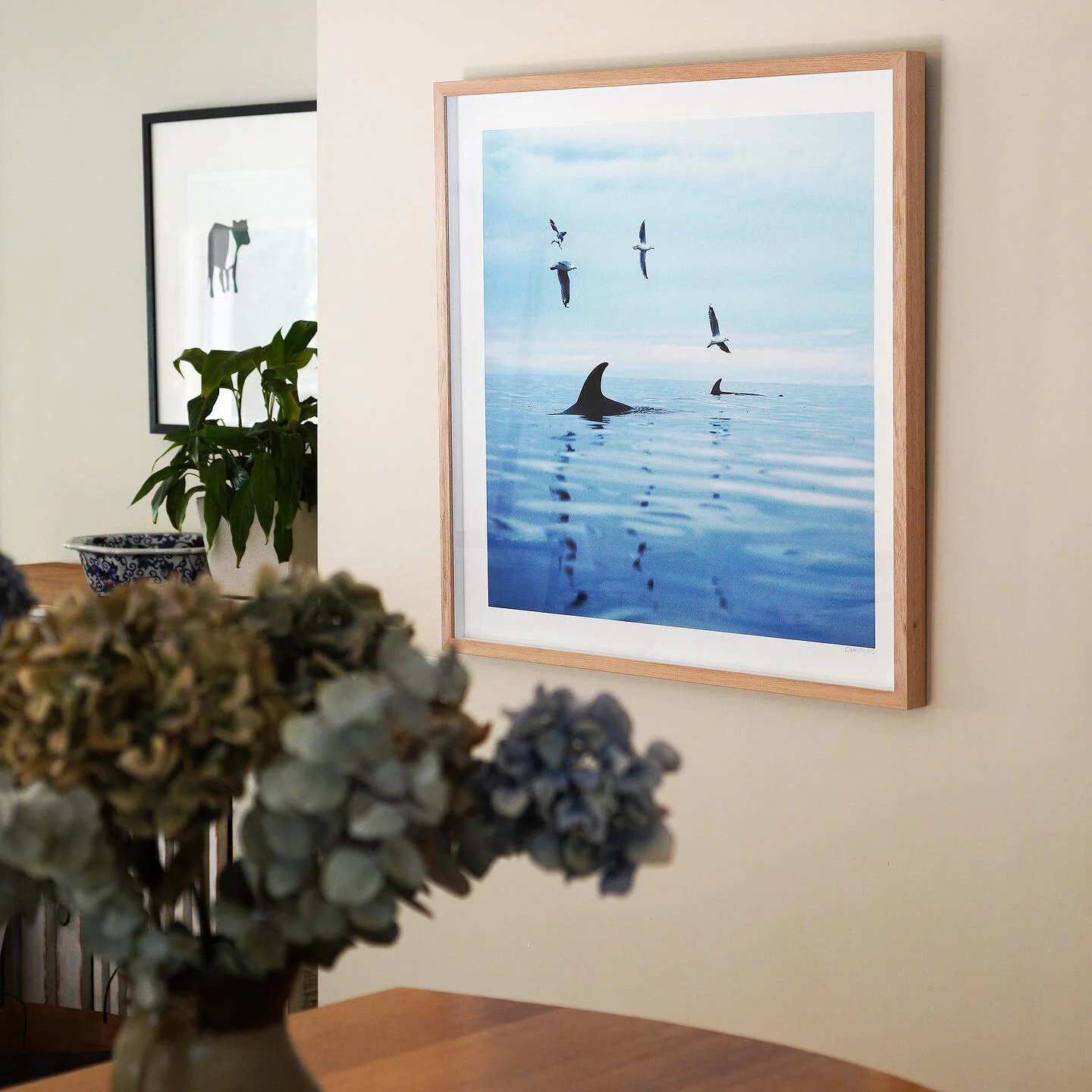 02EC1FAD-770B-495B-87D3-0E6FF7346BB4