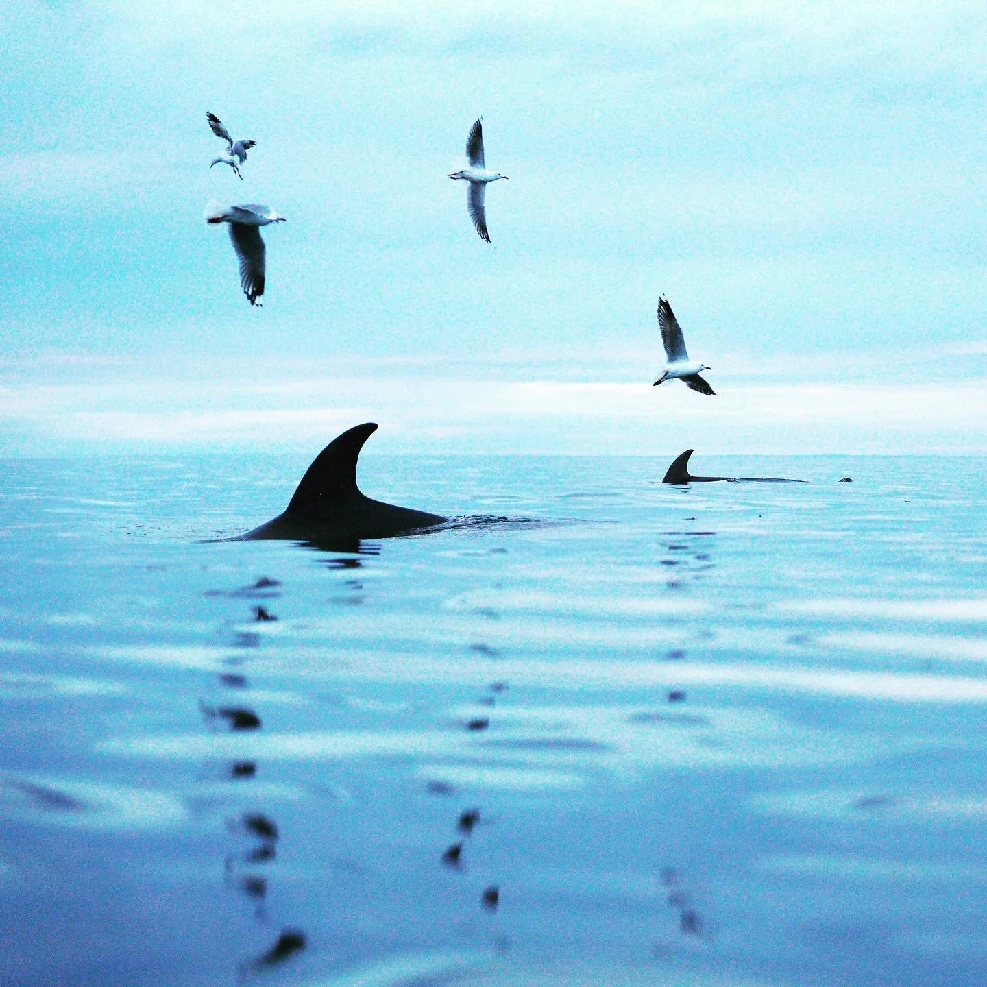 B31EBD03-2331-4539-B68E-67A8FCBF2DE3