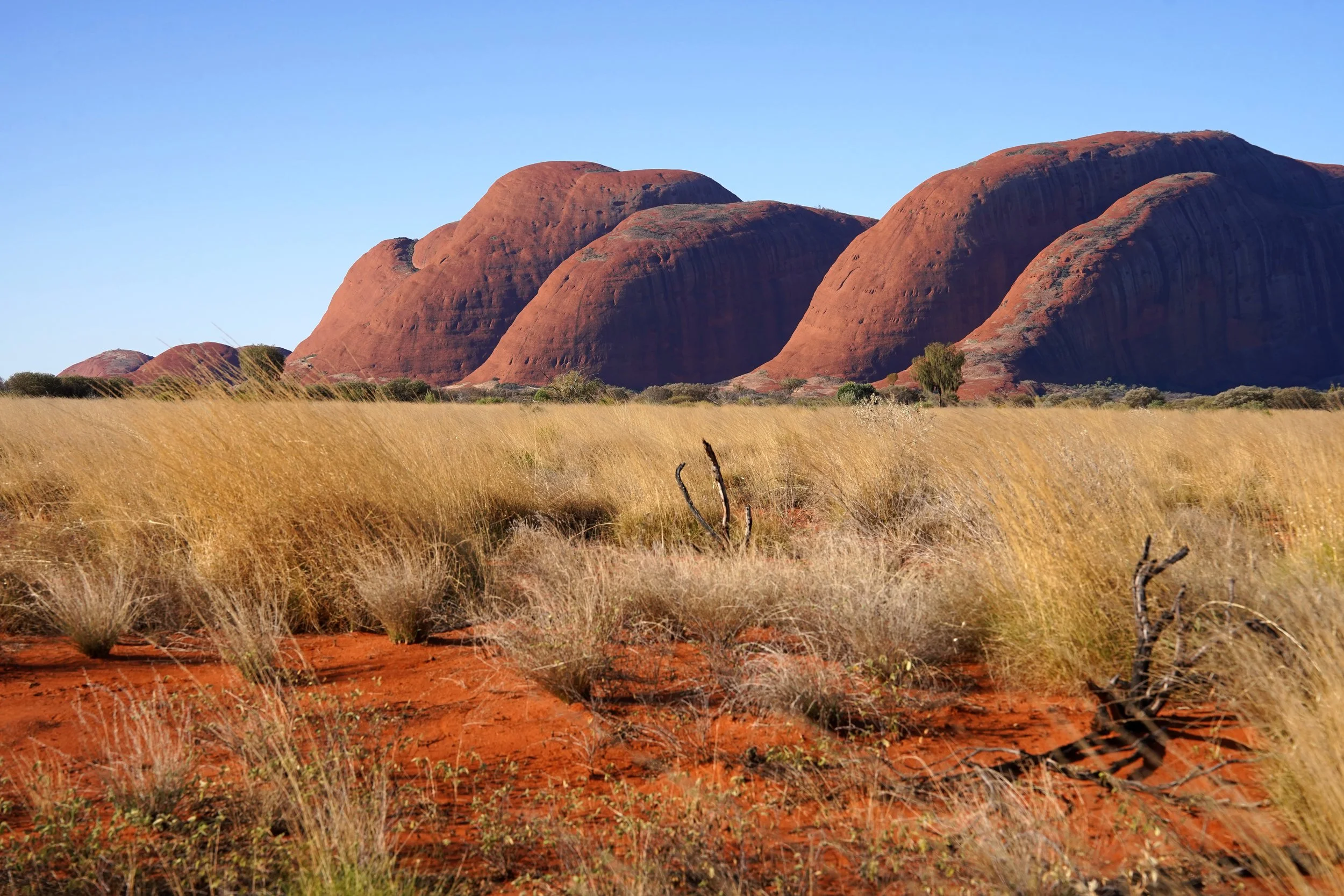 Katu.jpg