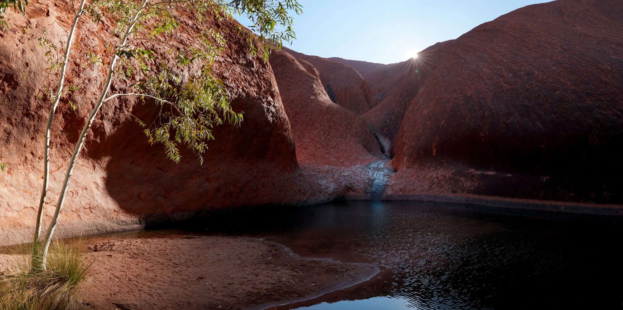 Uluru Waterhole Panorama Website Res.jpg
