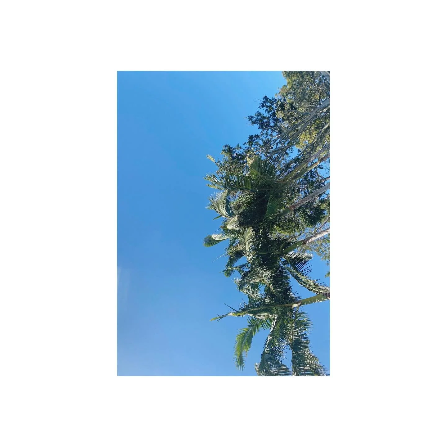 Brisbane. Queensland. Another village stay. Sunny recharge before the crazy summer rush. 

#avillagestay #shorttermaccommodation #matakana #matakanavillage #matakanacoast #stayhere #bnb #cottage #airbnb #650onmatakana #avillagestay #modernrustic #sta