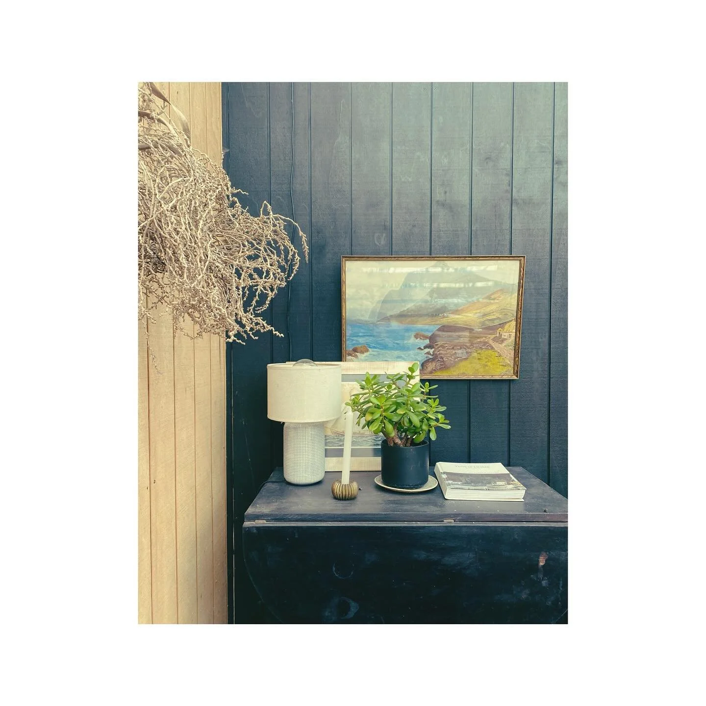 Vignettes. The outdoor room. Freshly updated with @porterspaints Palm Beach 💙 

#avillagestay #shorttermaccommodation #matakana #matakanavillage #matakanacoast #stayhere #bnb #cottage #airbnb #650onmatakana #avillagestay #modernrustic #stay #omaha #