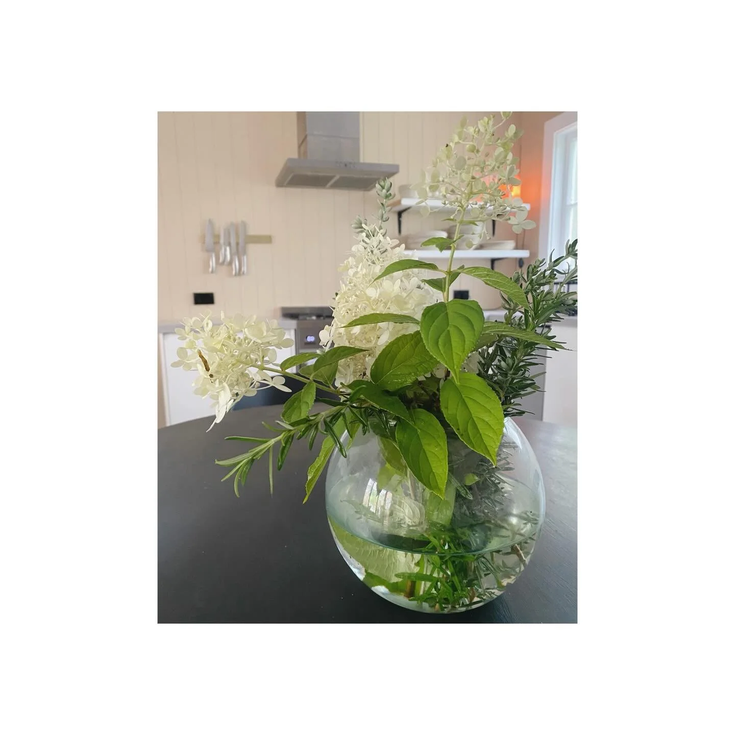 Guest ready. Garden haul. 

#avillagestay #shorttermaccommodation #matakana #matakanavillage #matakanacoast stayhere bnb cottage airbnb 650onmatakana avillagestay modernrustic stay omaha warkworth mangawhai home nzinteriors interiors living livingthe