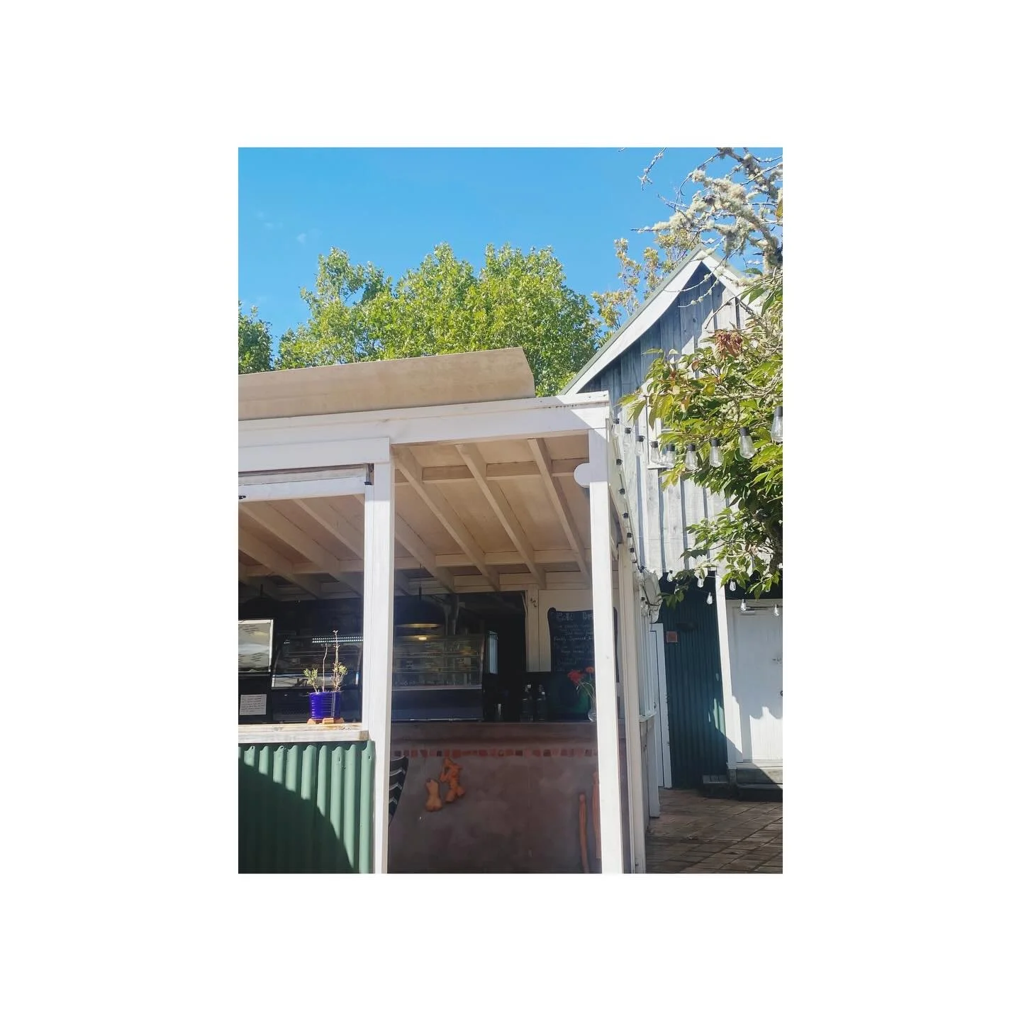 Nectar. Tongue Farm Road, Matakana. Out of sight but never out of mind. Best granola bowls 🤩 

#avillagestay #shorttermaccommodation #matakana #matakanavillage #matakanacoast stayhere bnb cottage airbnb 650onmatakana avillagestay modernrustic stay o