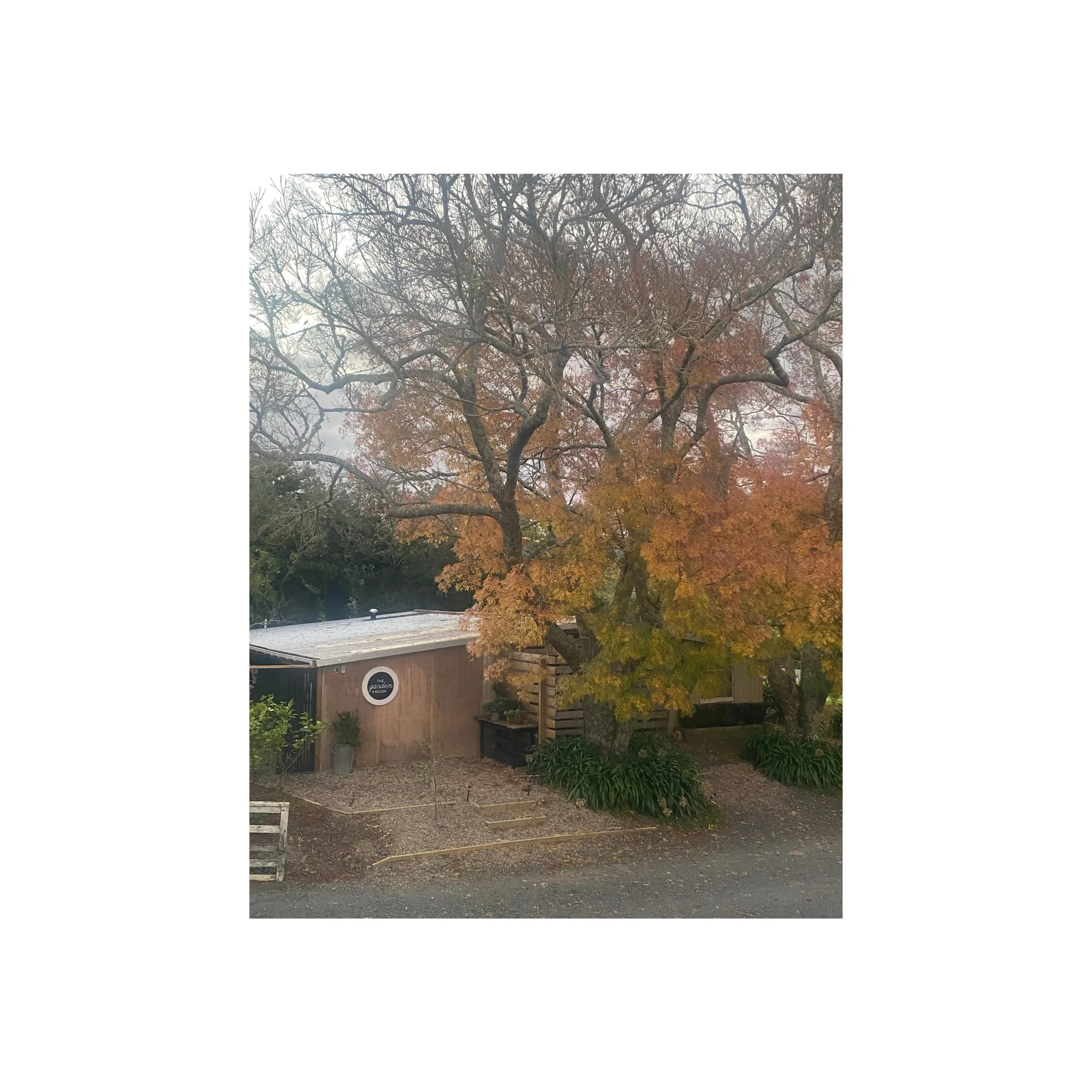 Autumn. 

#matakana #matakanavillage #matakanacoast #650onmatakana #avillagestay modernrustic stay omaha warkworth mangawhai home nzinteriors interiors living livingthedream village shorttermaccommodation stayhere bnb cottage airbnb