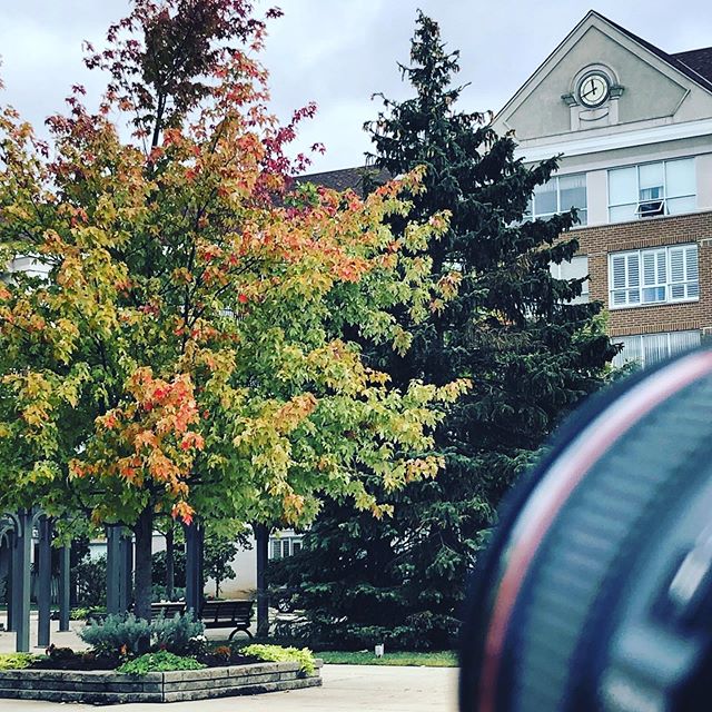On location today 💛 these fall leaves are warming me up on this chilly day 🍂
.
.
.
.
#storytelling #videography #capture #celebrate #learn #share #gerontology #kw #waterlooregion