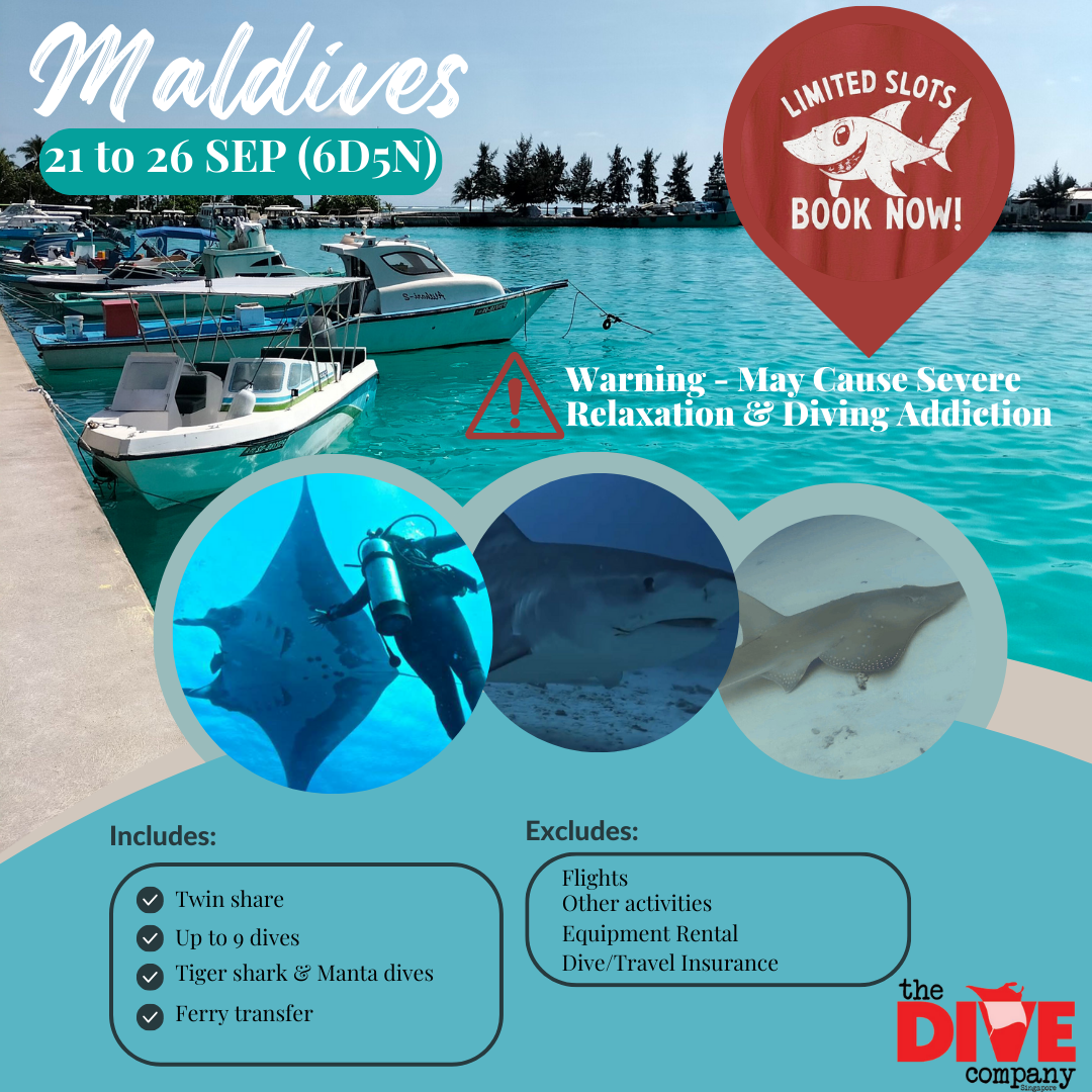 Maldives (6D5N)