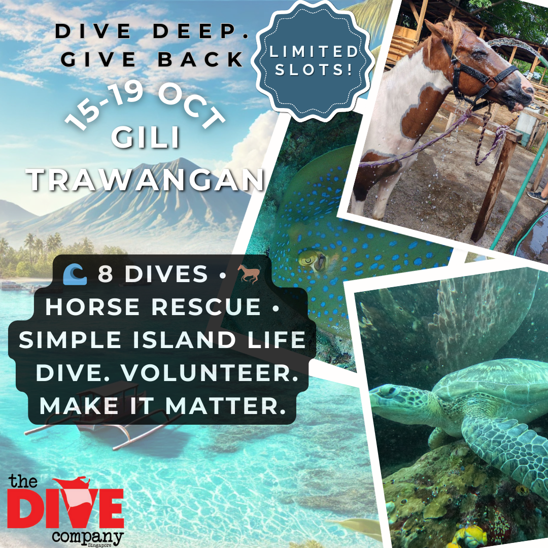 Gili Trawangan (5D4N)