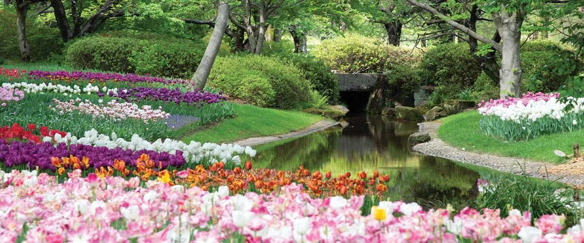 Gardening Advice Auckland The Garden Mentor