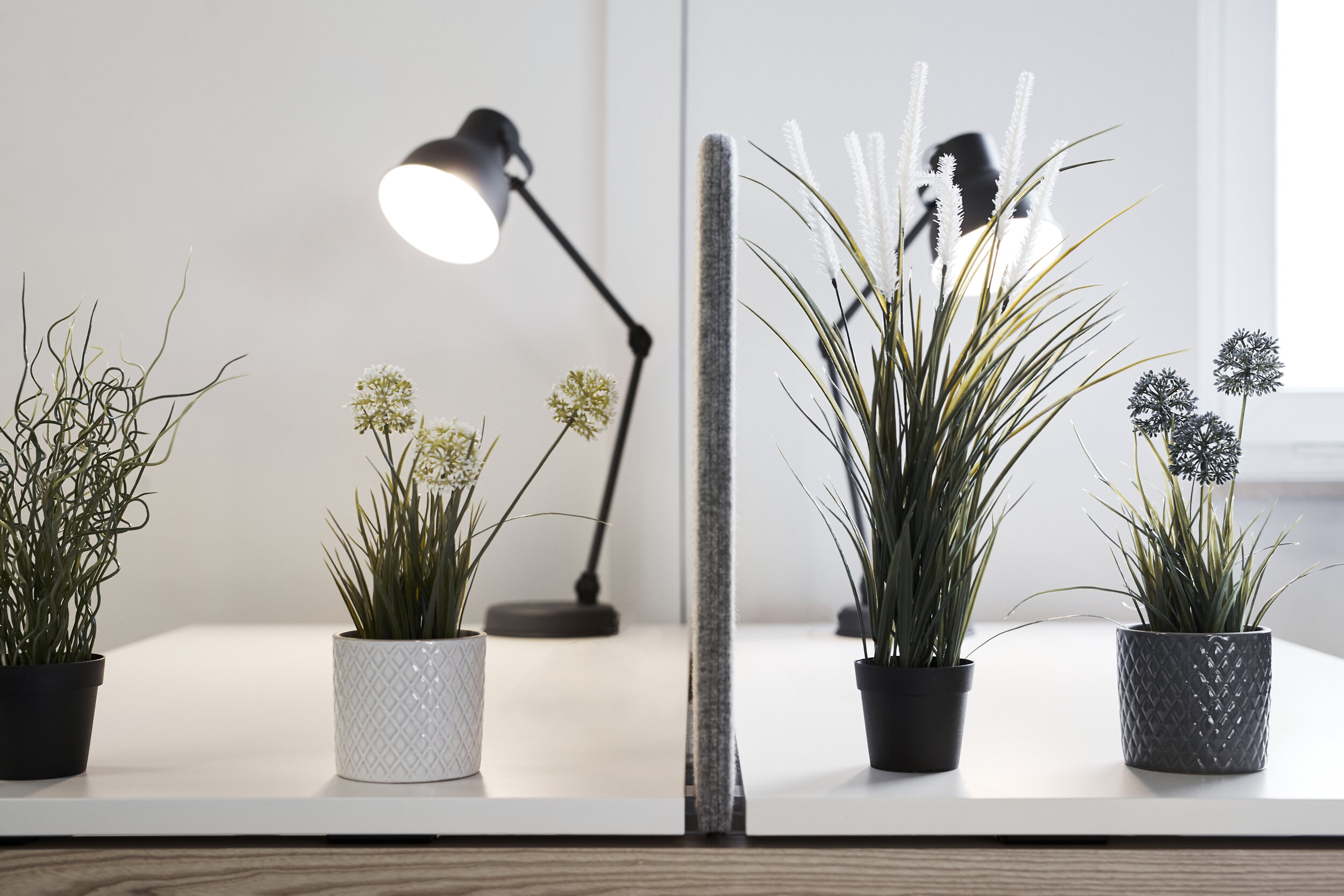 Lampe+Pflanzen.jpg
