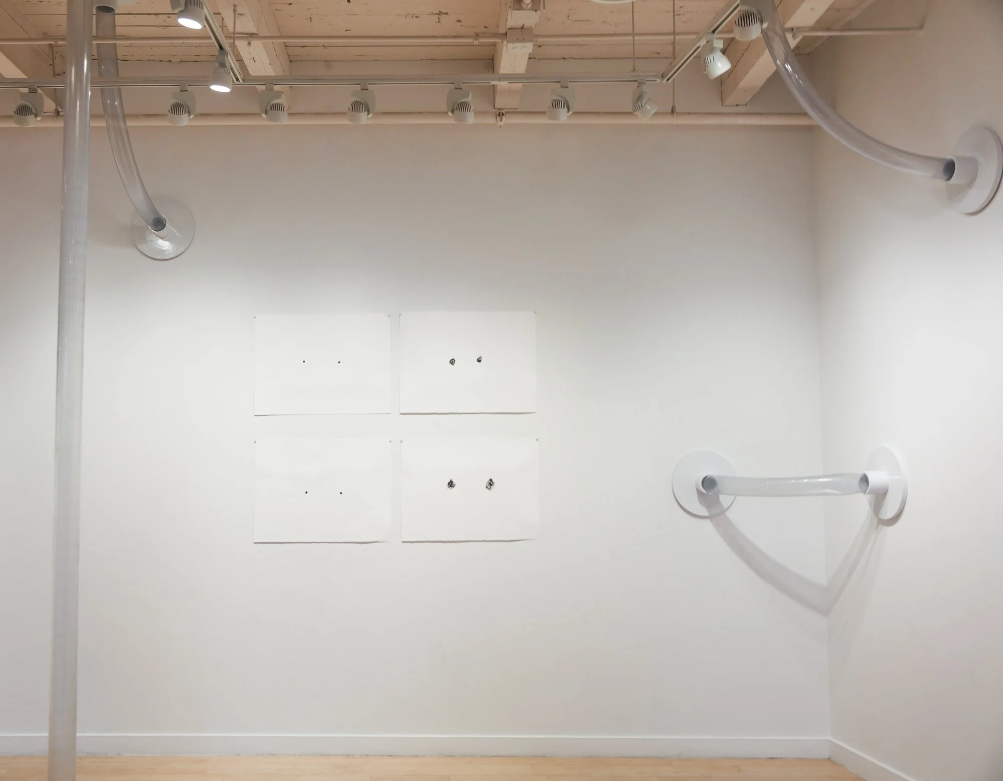 Nipples exhibtion.jpg