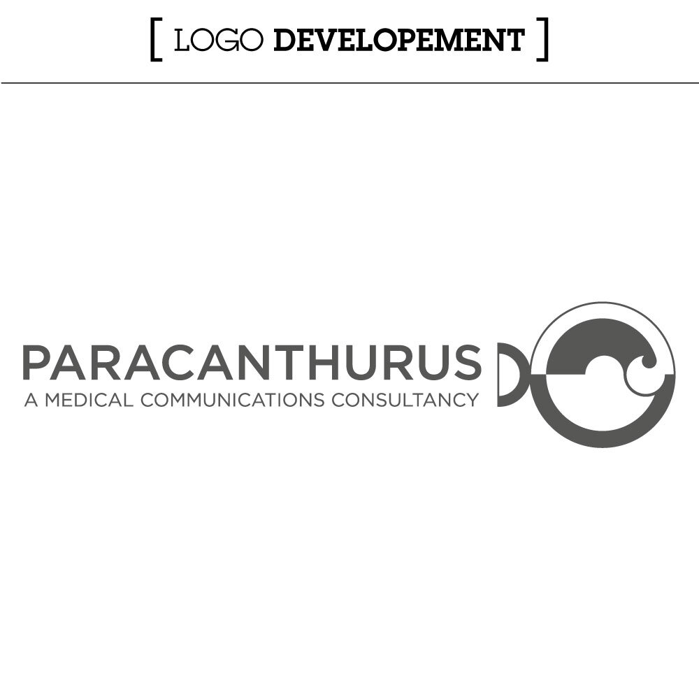 PARA_Development_structure_2c.jpg