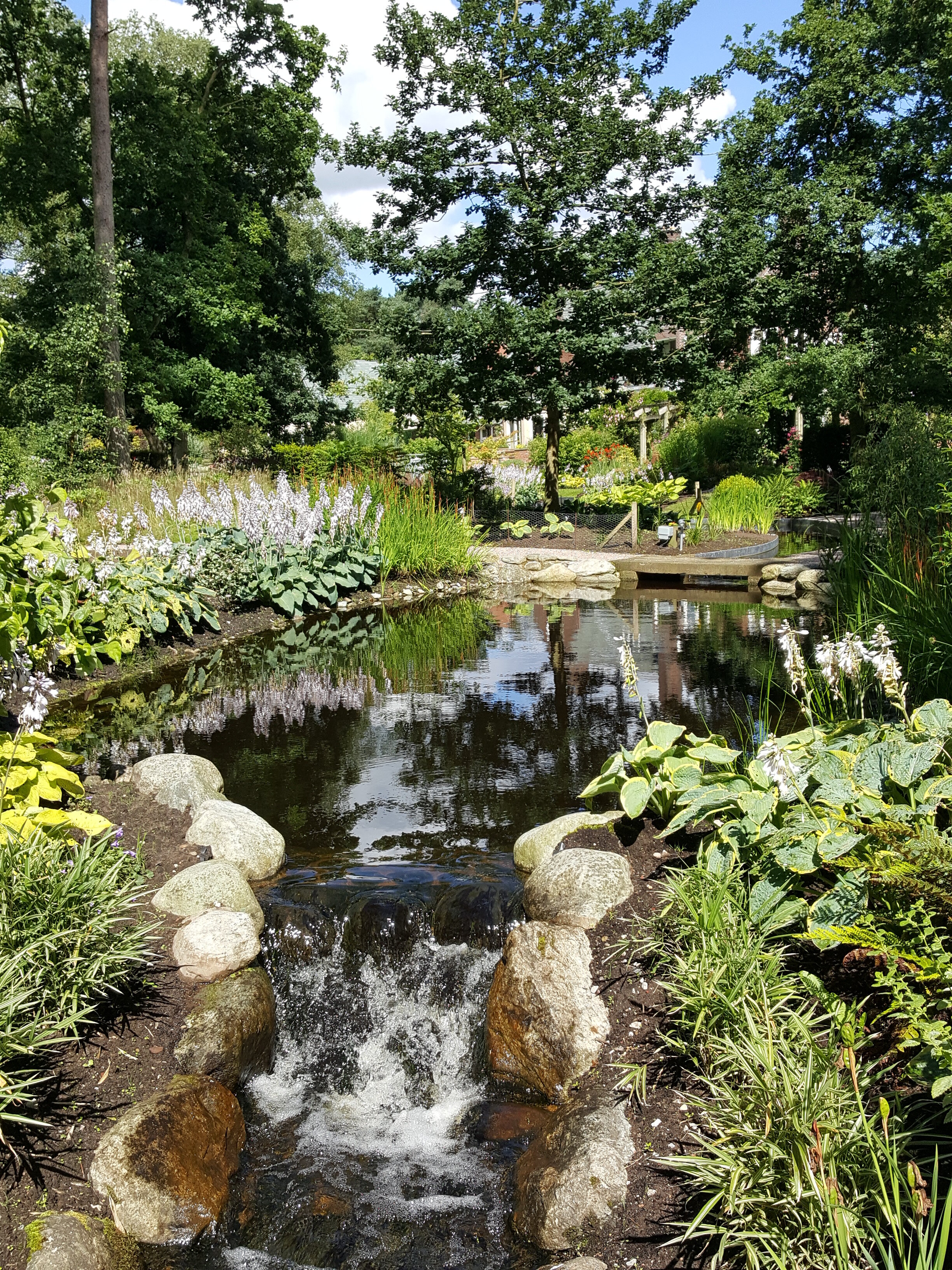Water-garden-cheshire-waterfall.jpg