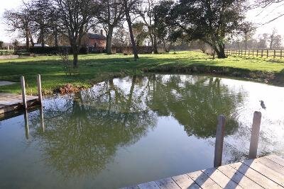 pond-swimming-halesworth-deck.jpeg