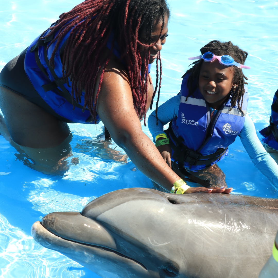 Untitled design - 5.PNG