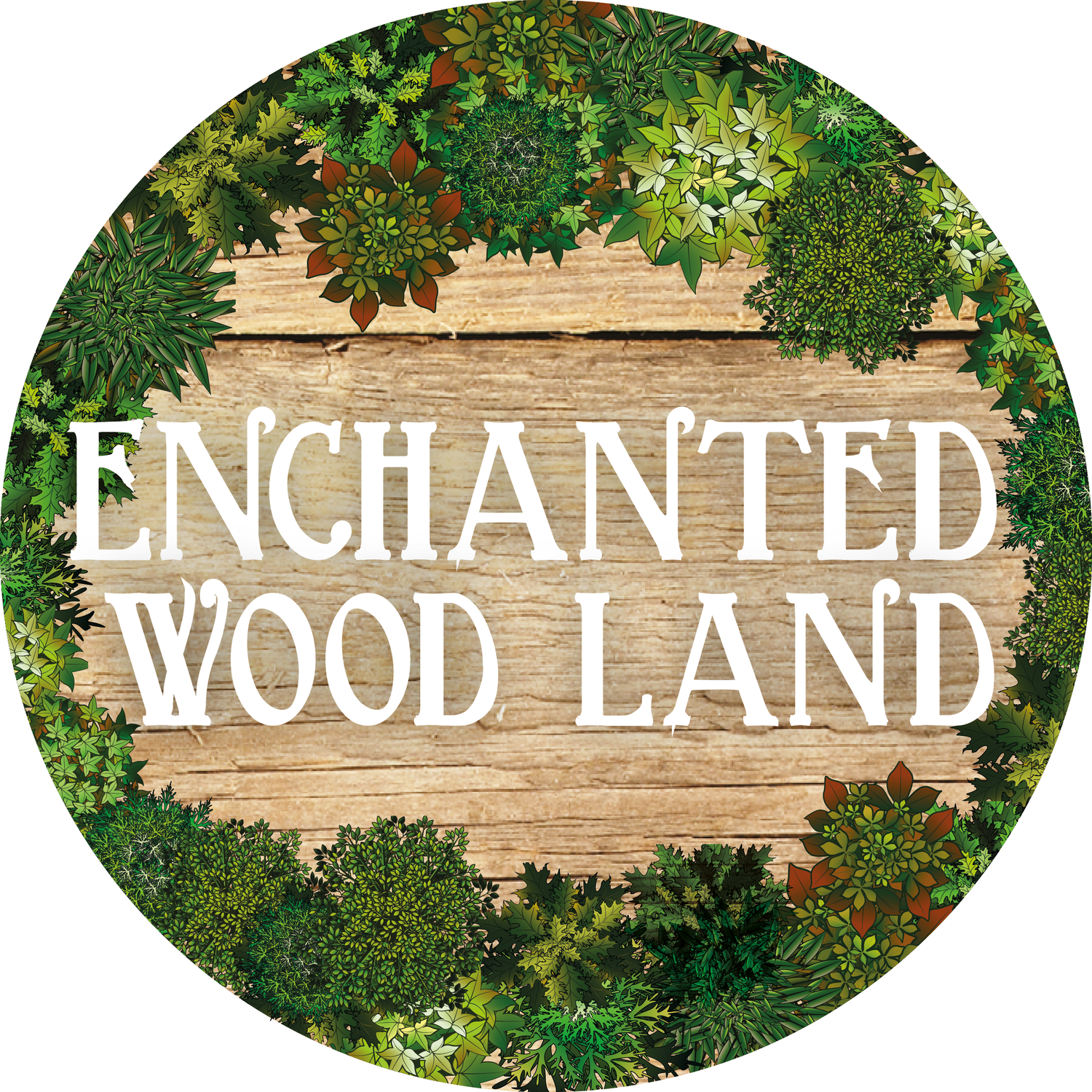 Enchanted Wood Land