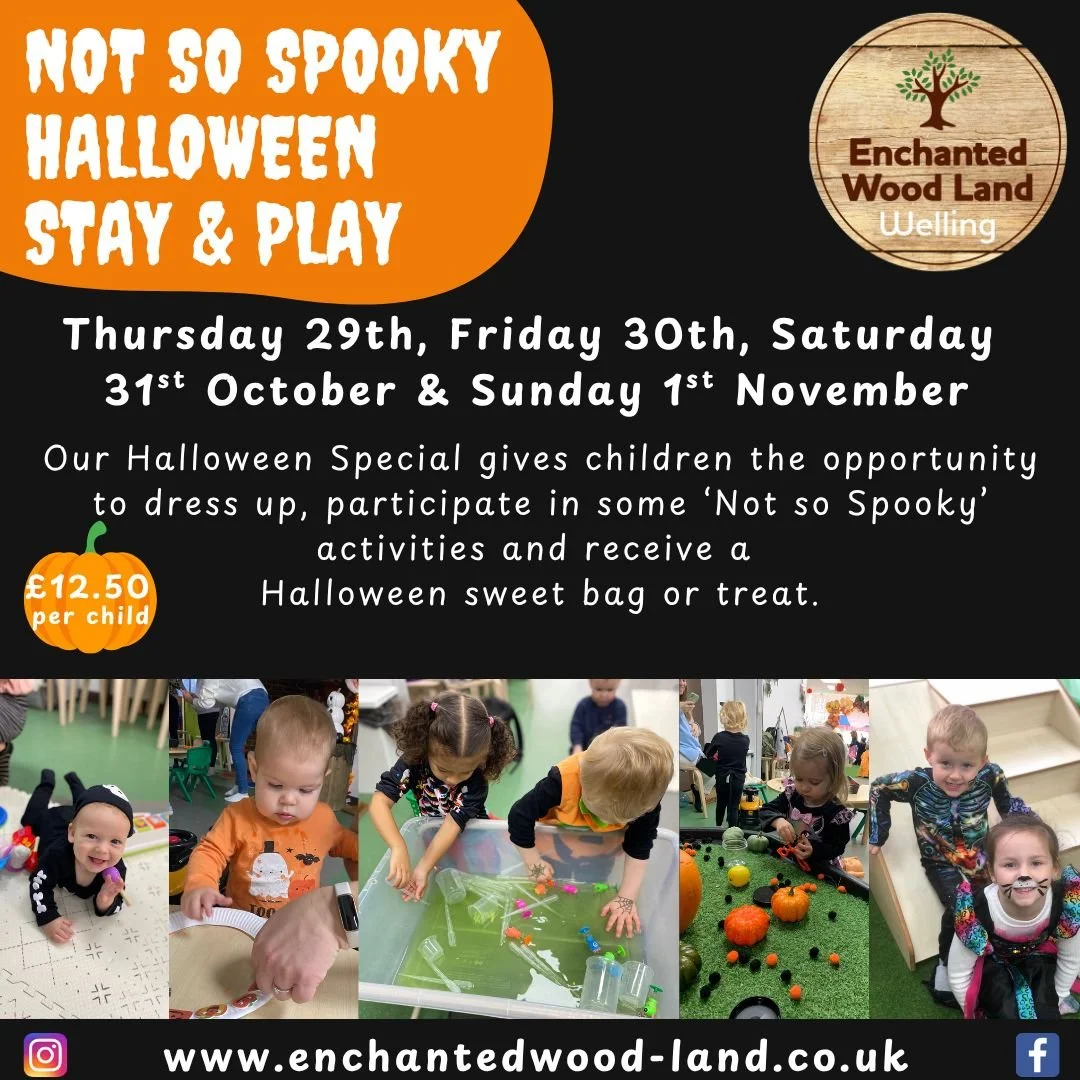 Halloween Stay & Play 29th, 30th, 31st Oct & 1st Nov
