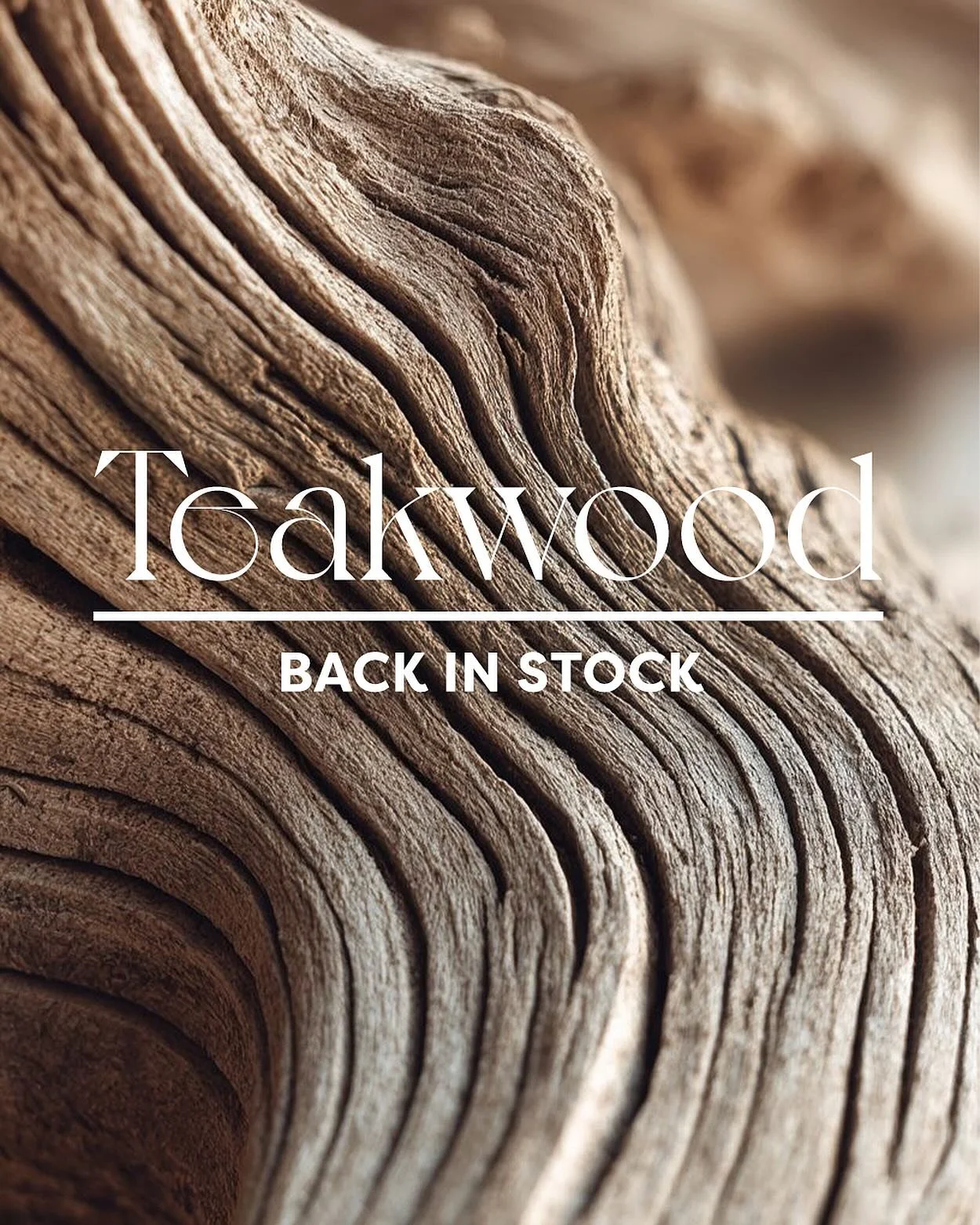 Your favourite. Our best seller. Now back in stock. Don&rsquo;t wait&mdash;this one goes fast!
Shop our Teakwood scent in Extra-Large Green or Amber, or grab the Classic Teakwood Candle now.