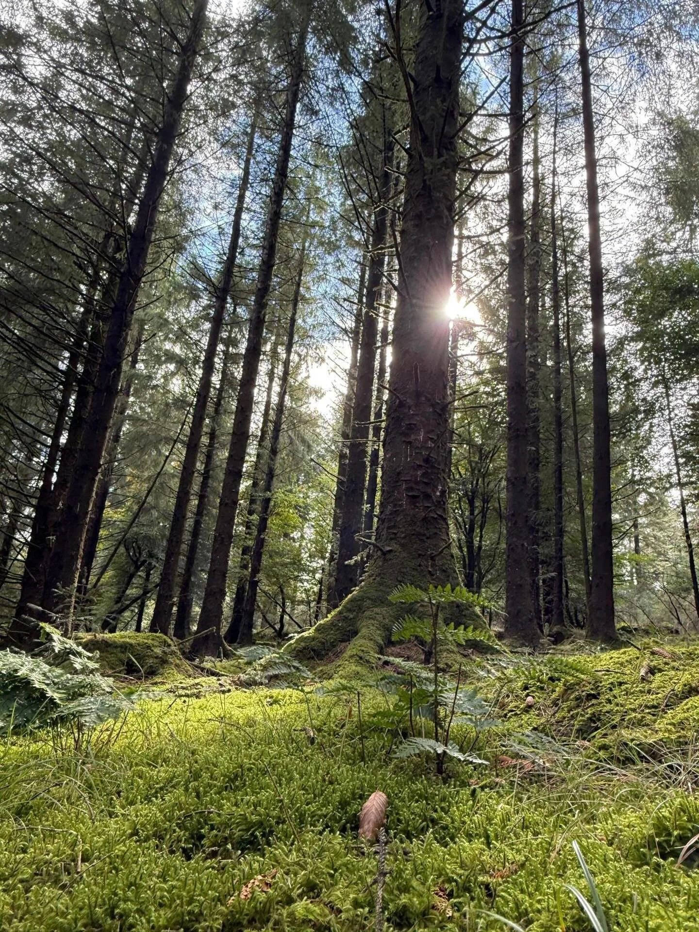 Wishing you all peace and happiness within for 2026! 

Right now, I feel like the luckiest person. I&rsquo;m filled with gratitude for all the opportunities and for the many wonderful colleagues and friends I get to walk this path with. I truly belie