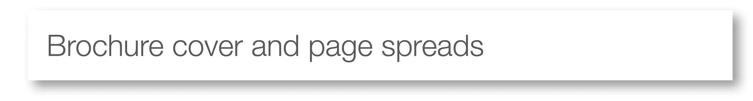 Brochure header.jpg