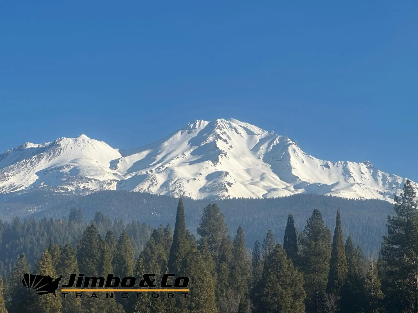 You never know when life will surprise you with its most breathtaking view. 

#camplife #bbqlife #olympicgames #nationalparks #turtles #traveltips #southwestairlines #Olympics #thebeach #yellowstone #TheOpen