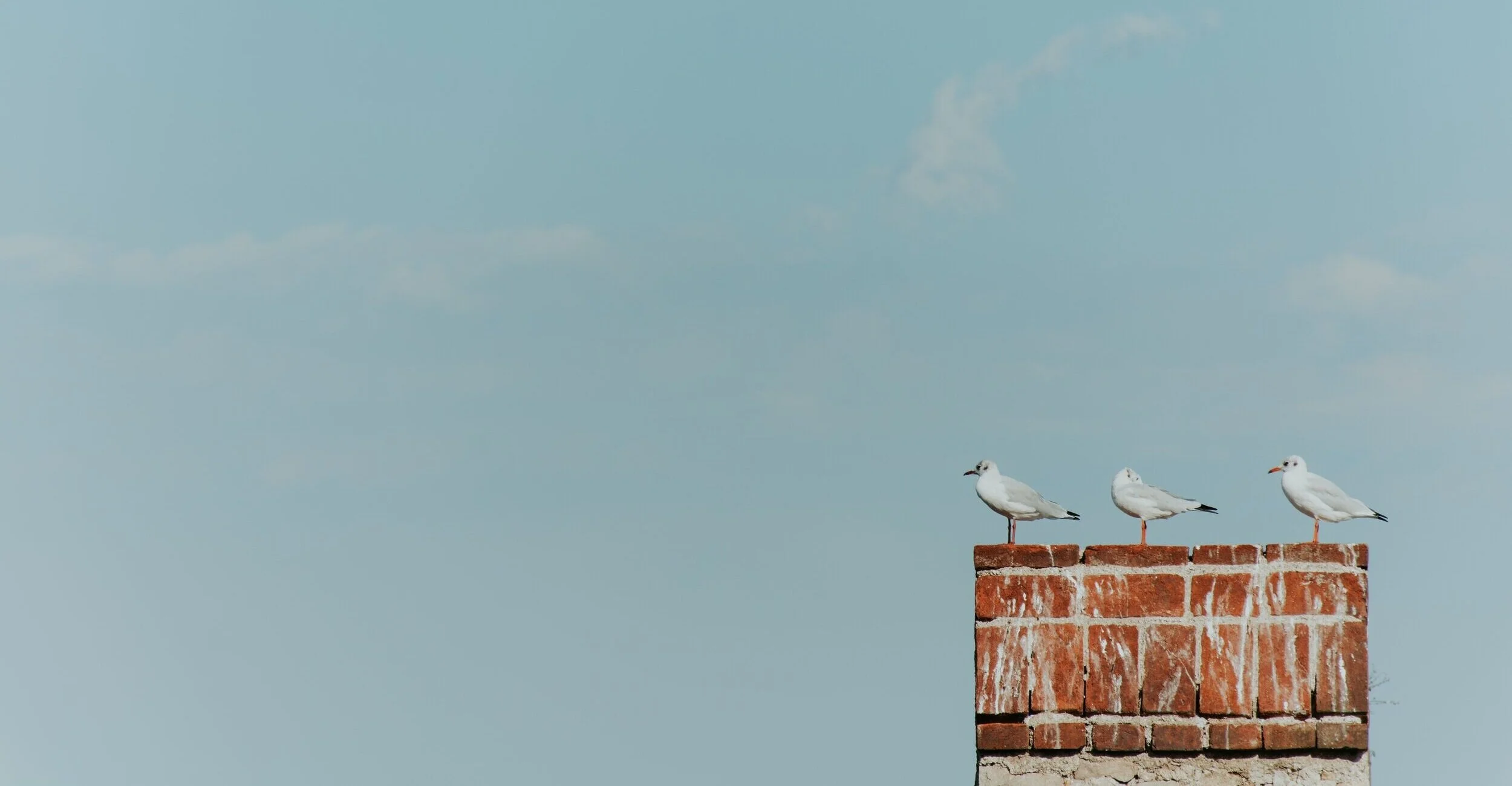 Chimney Sweep Plymouth Chimney Sweeps Plymouth Log Burner Install