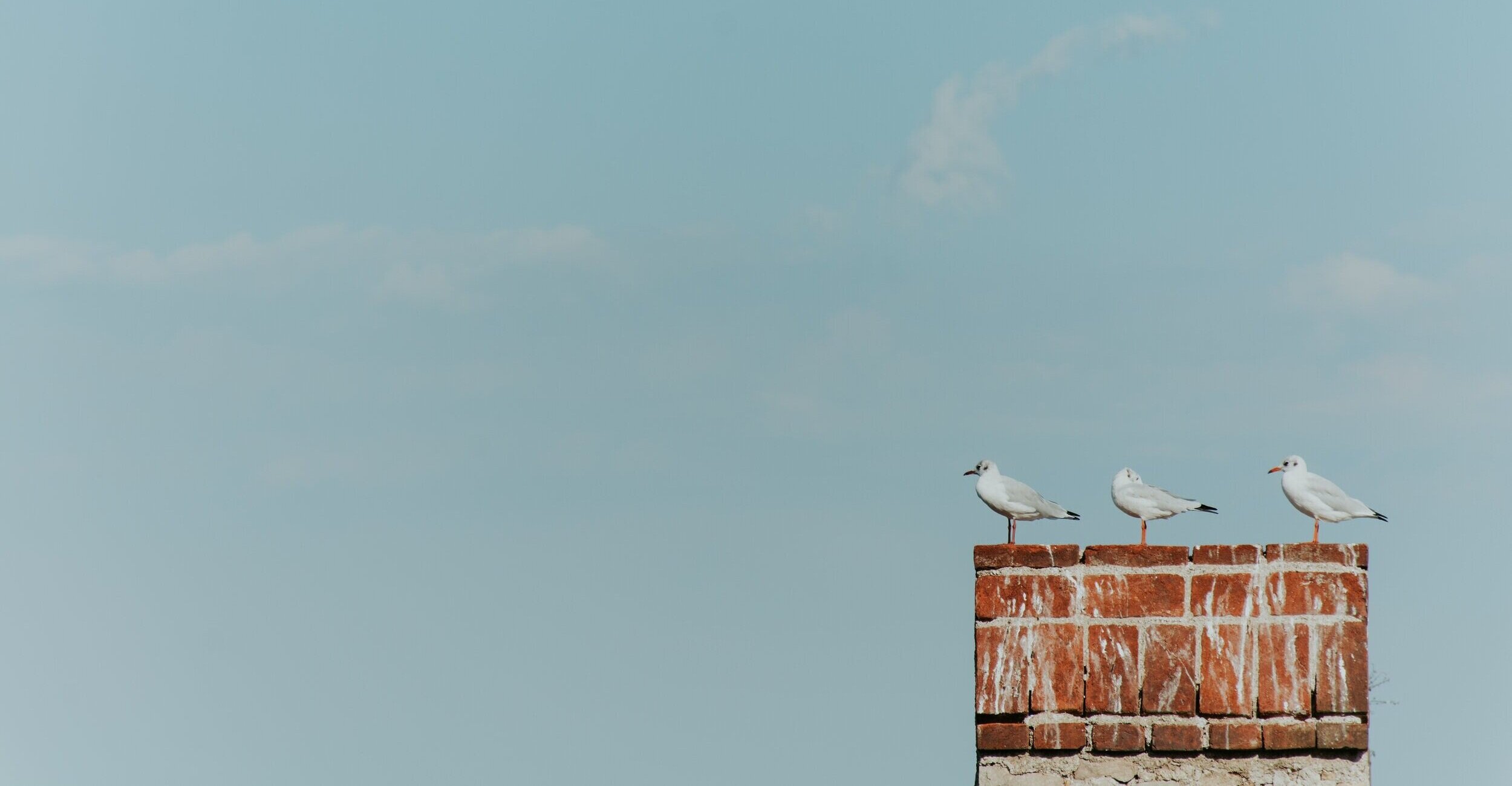 Chimney Sweep Plymouth | Chimney Sweeps Plymouth | Log Burner Install
