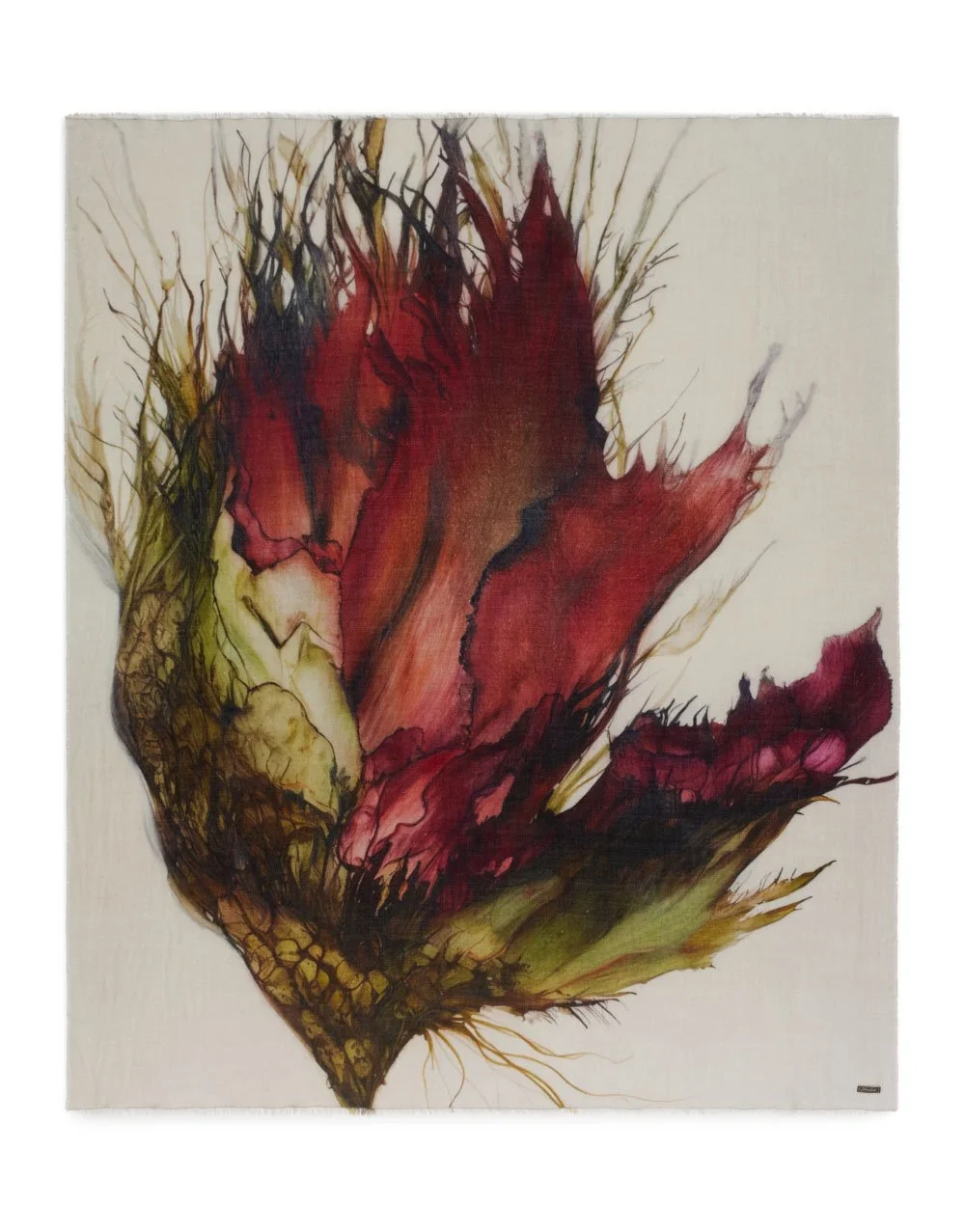 protea 2.jpg