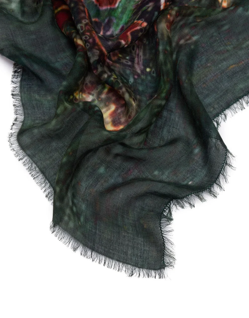 new carpet 2.jpg
