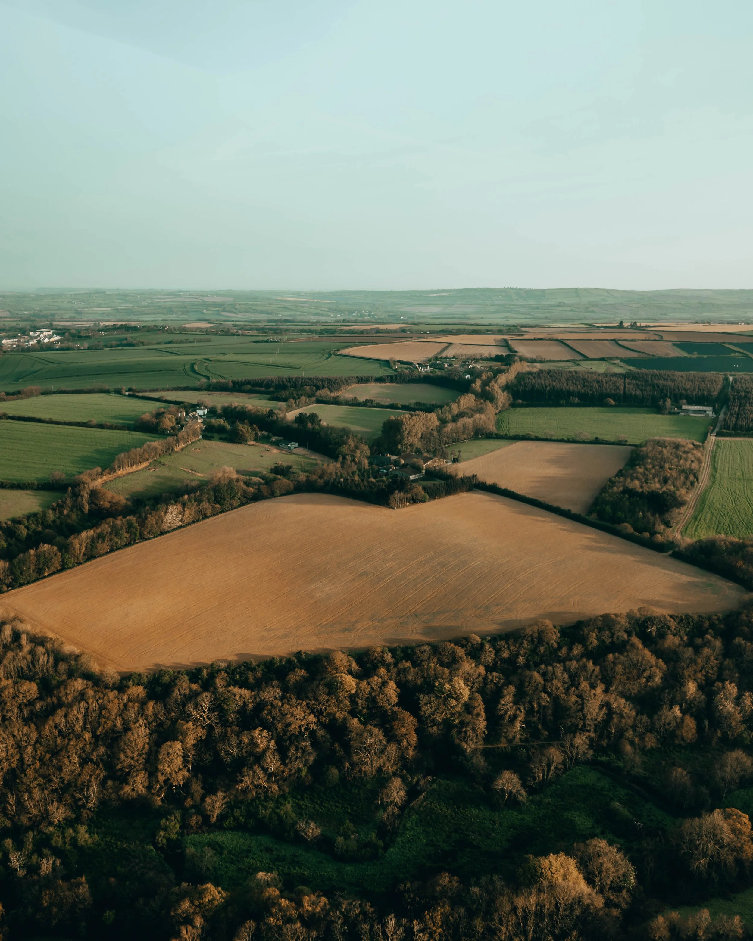 Drone  (2 of 4).jpg