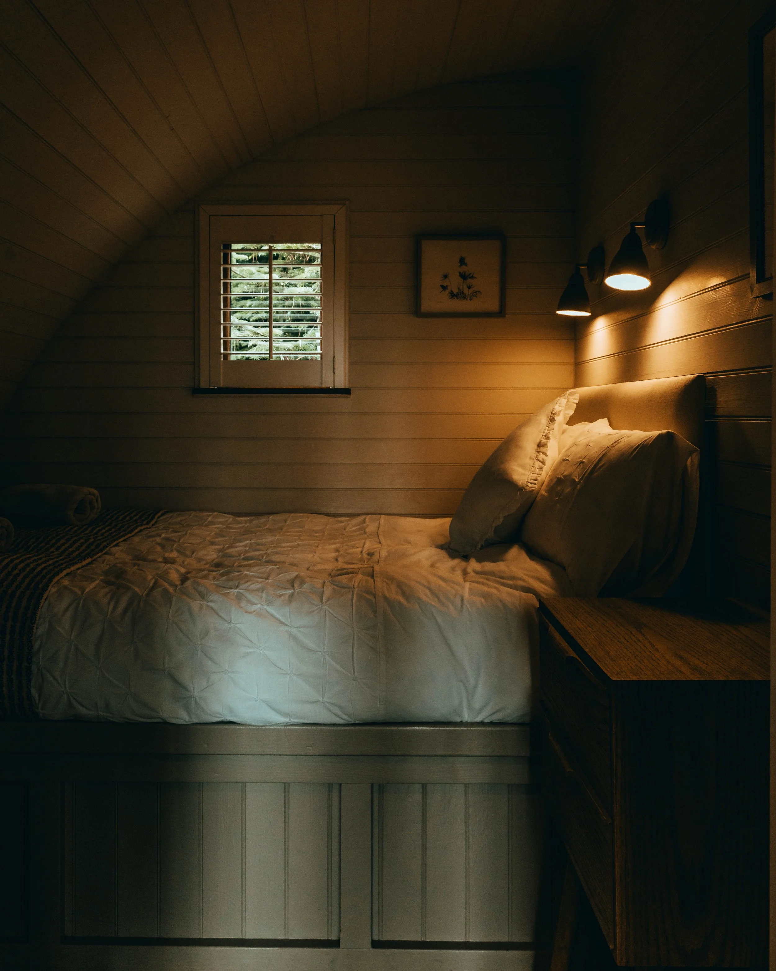 1 (17 of 41).jpg