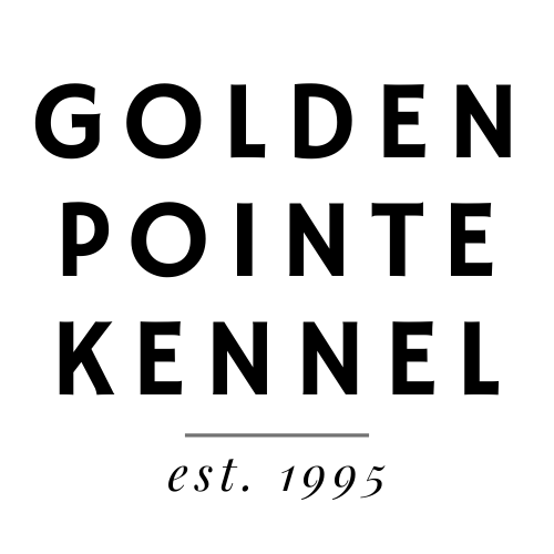 Golden Pointe Kennel