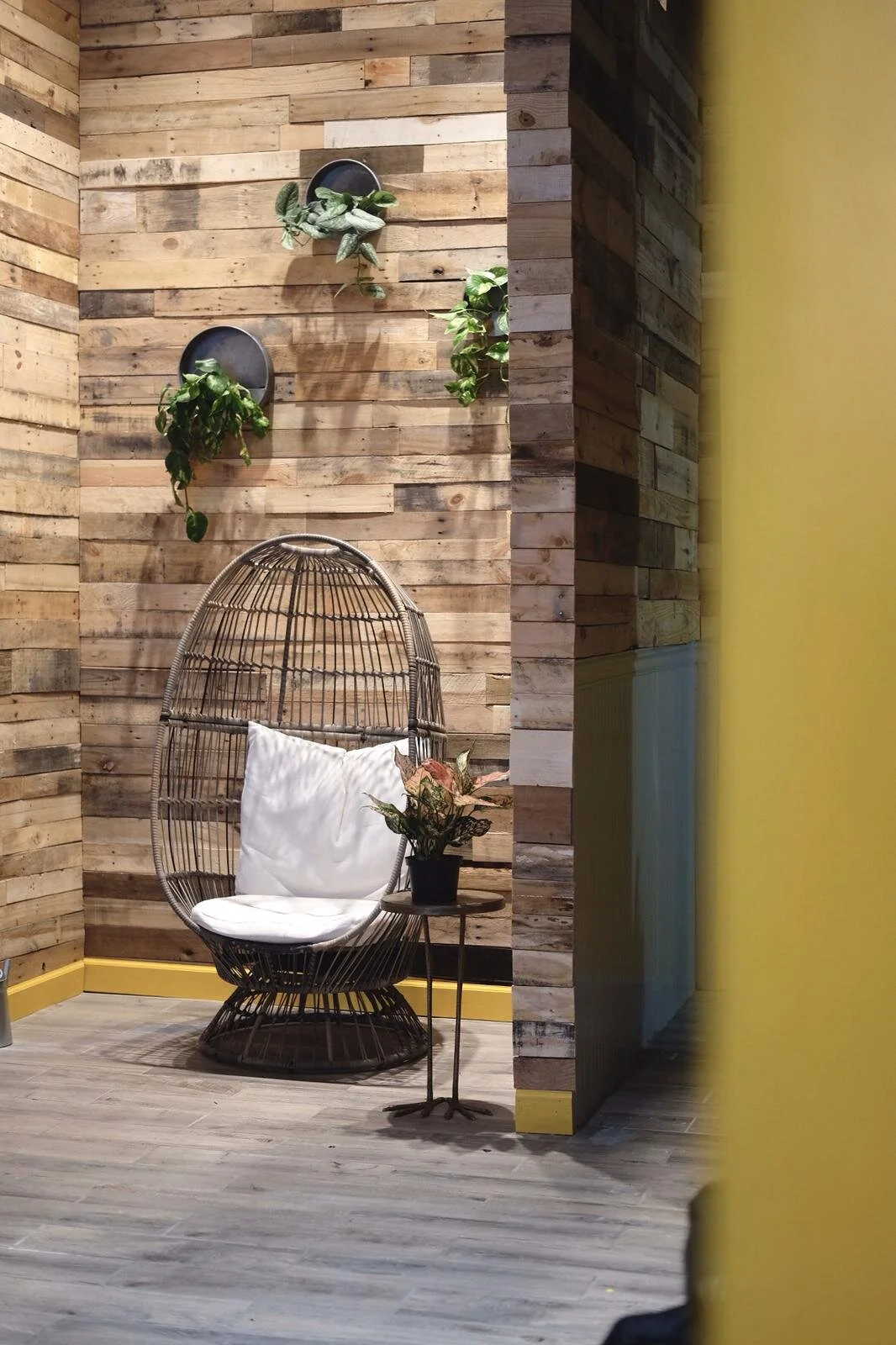 WhatsApp Image 2019-10-23 at 10.14.17 PM.jpeg