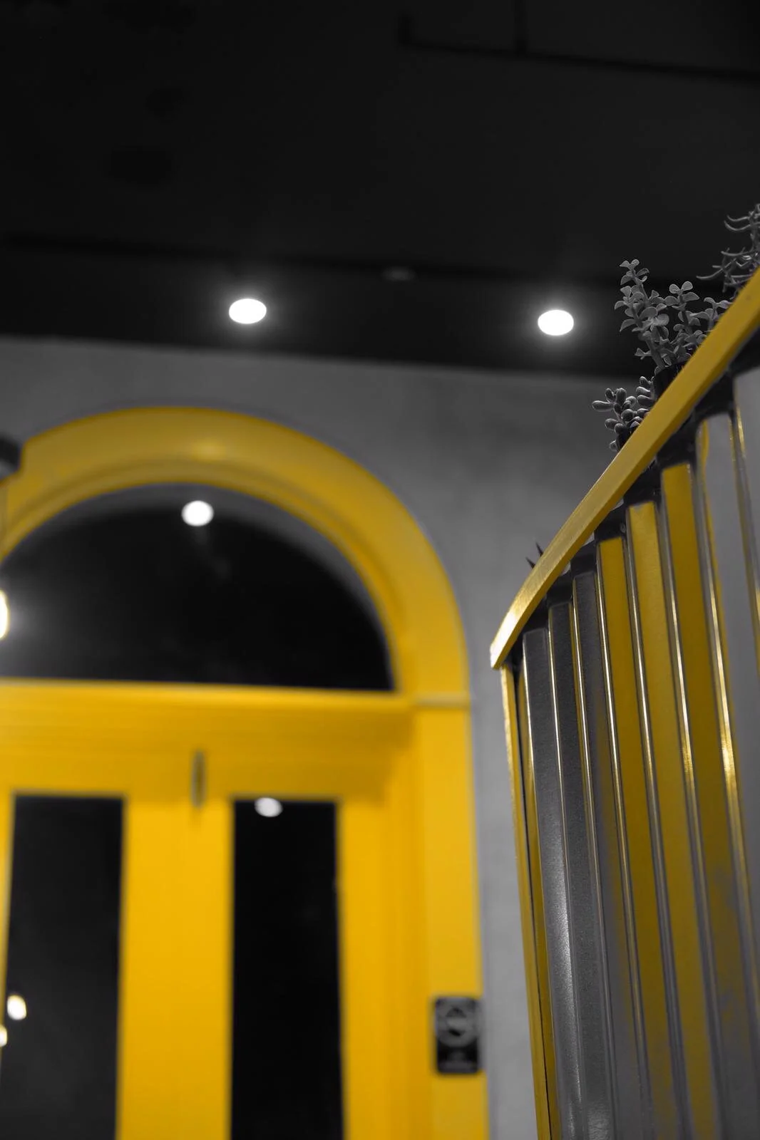 WhatsApp Image 2019-11-07 at 9.19.16 PM.jpeg