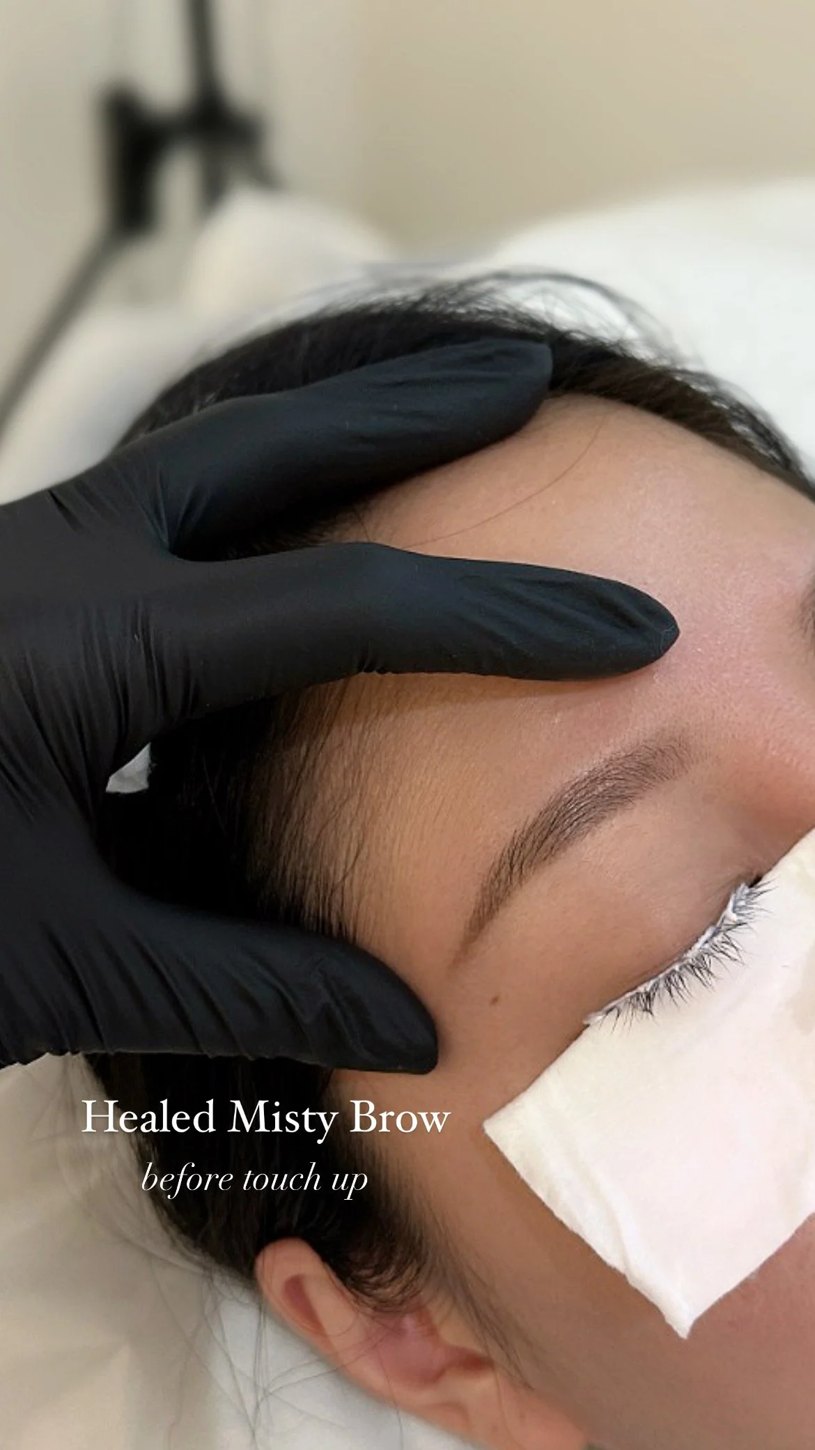 Brows_Misty_934D8F10-1A5B-4C08-92C1-DFDDD2347A3E_BBB.Jpg