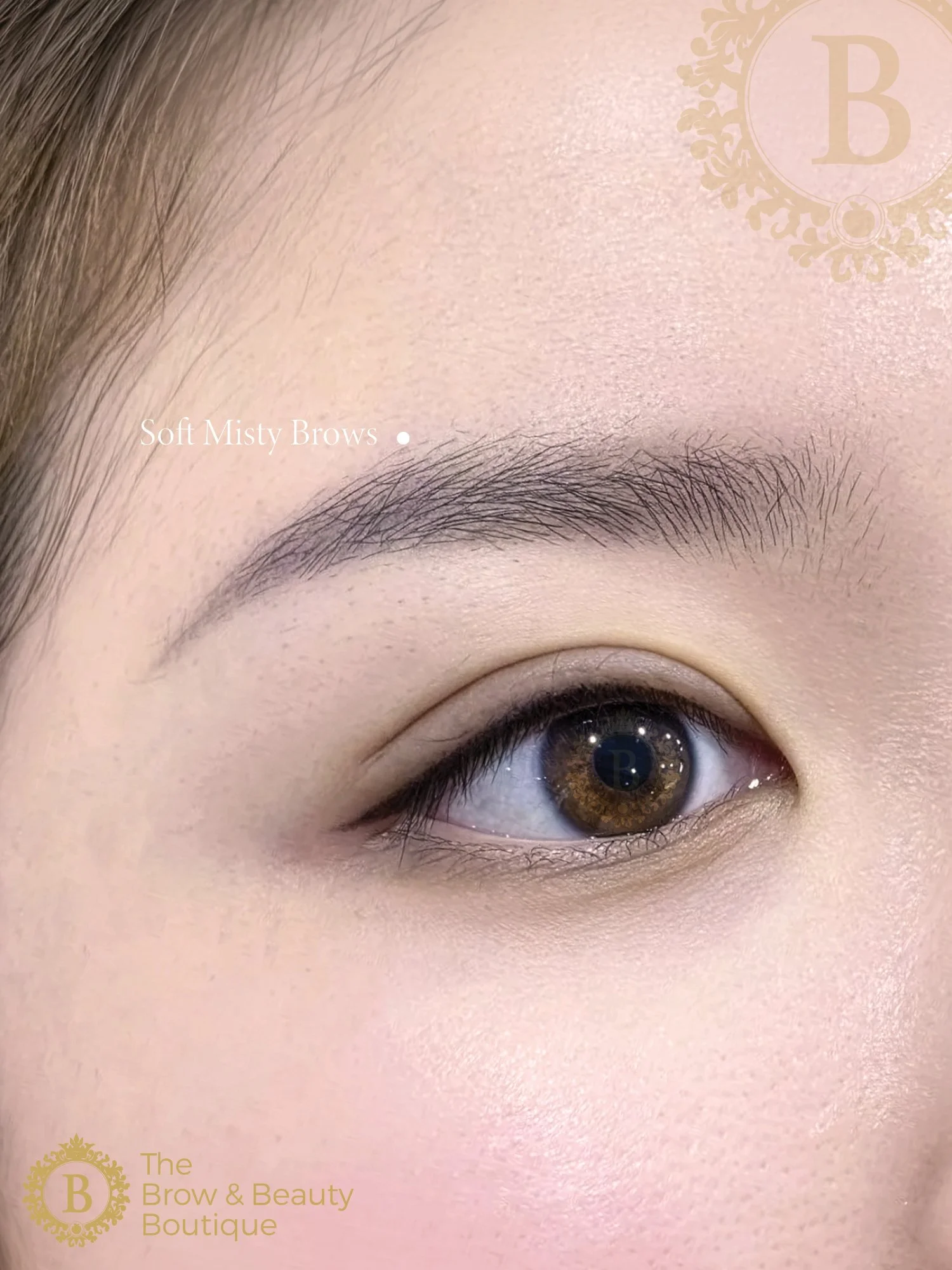 Soft Misty Brows by The Brow & Beauty Boutique16.jpg