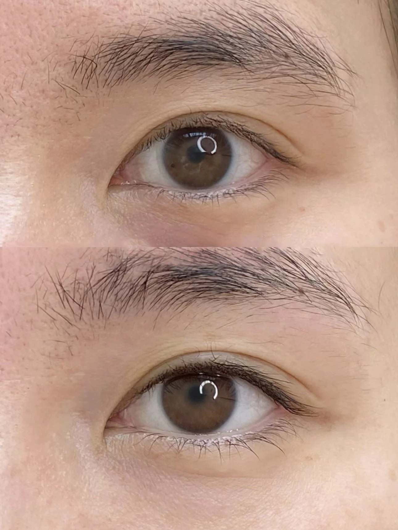 Babyliner.jpg