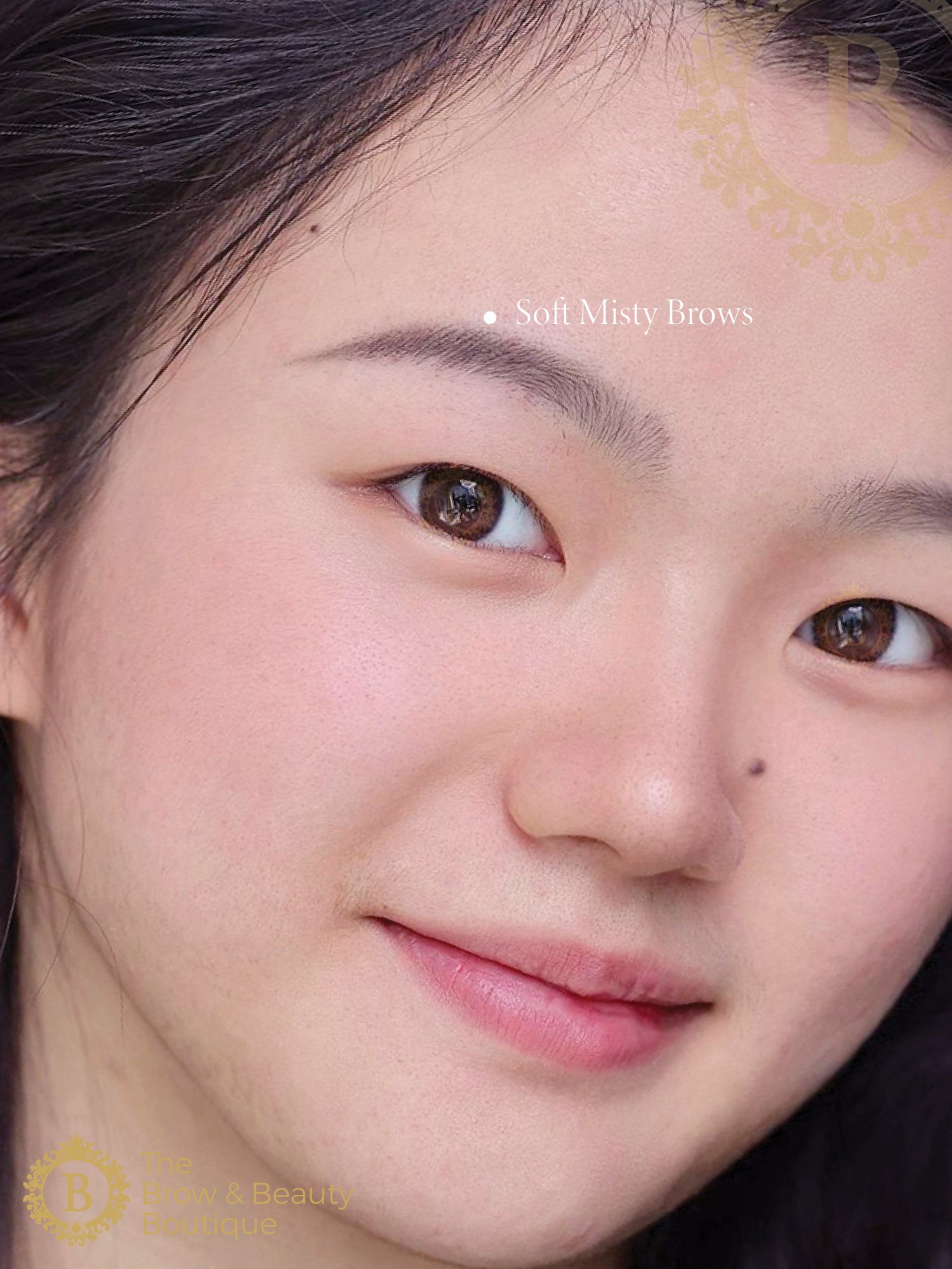 Soft Misty Brows by The Brow & Beauty Boutique3.jpg