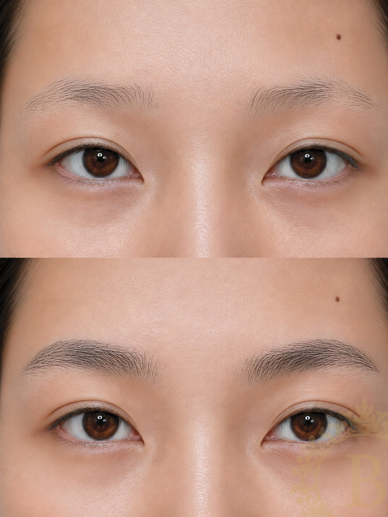 Fluffy Nano Brows  - The Brow & Beauty Boutique (No Text) (19).jpg