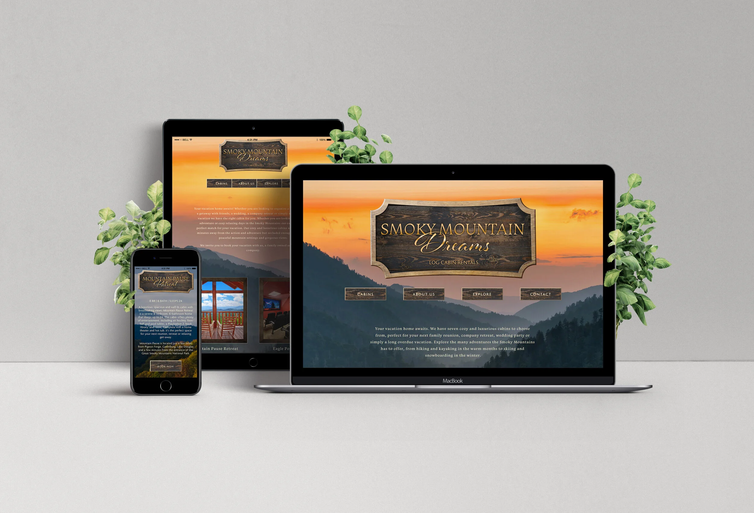 cabin website.jpg