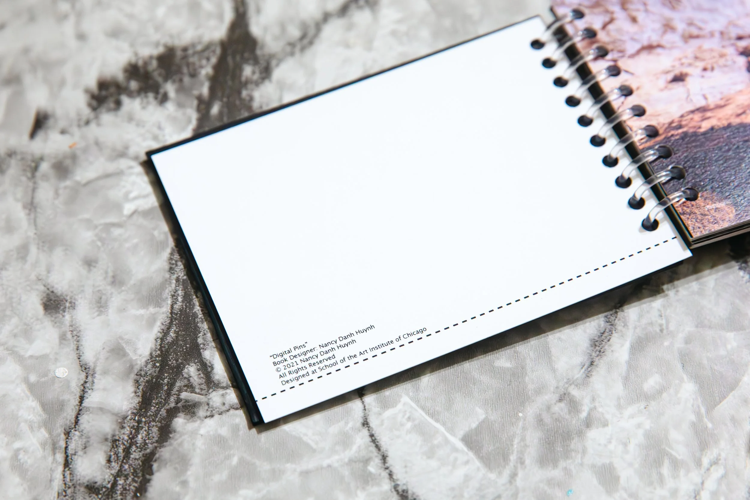 DigitalPinsBook_NancyDHuynh044.jpg